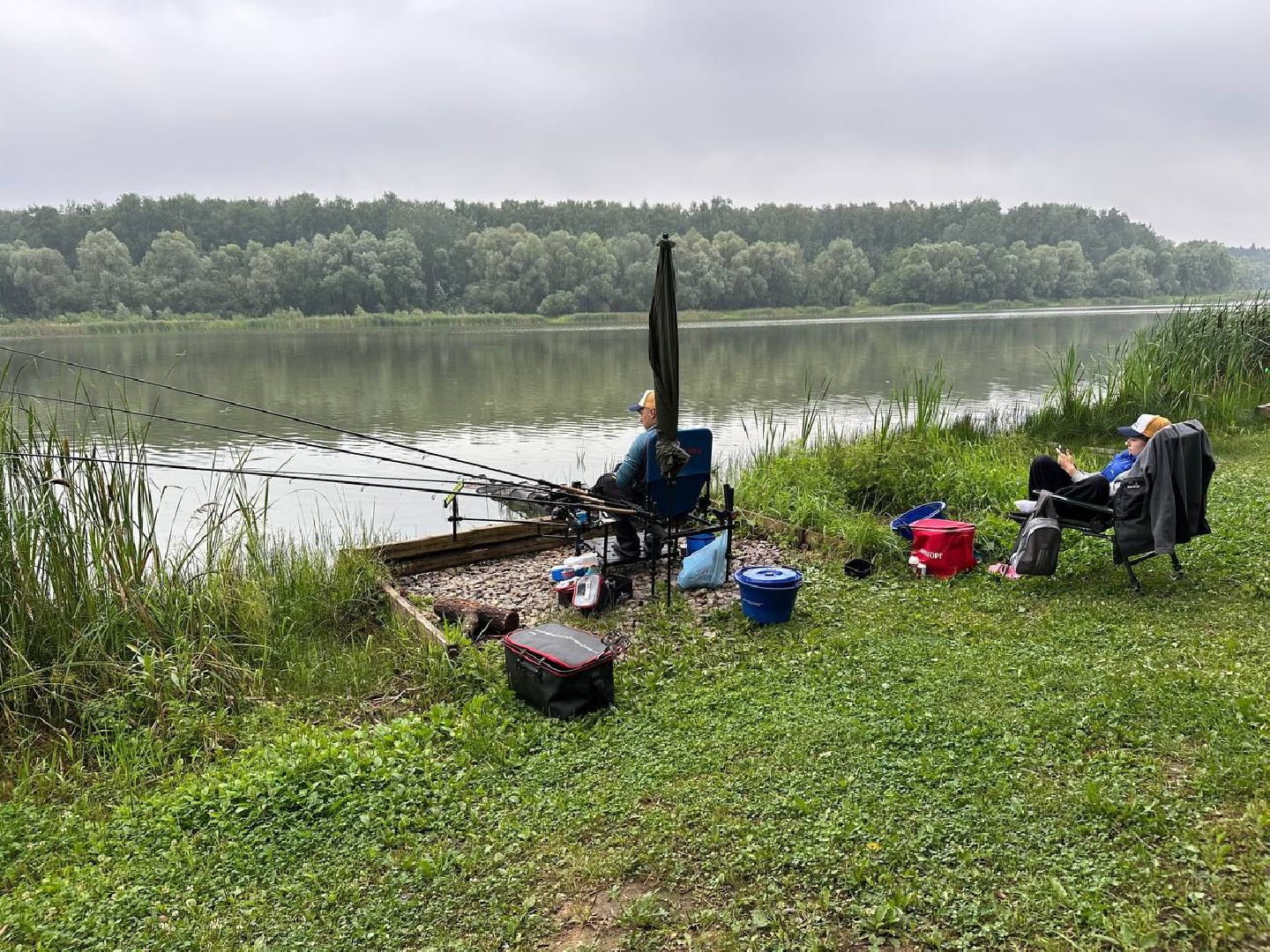 рыбалка, спорт, домодедово,