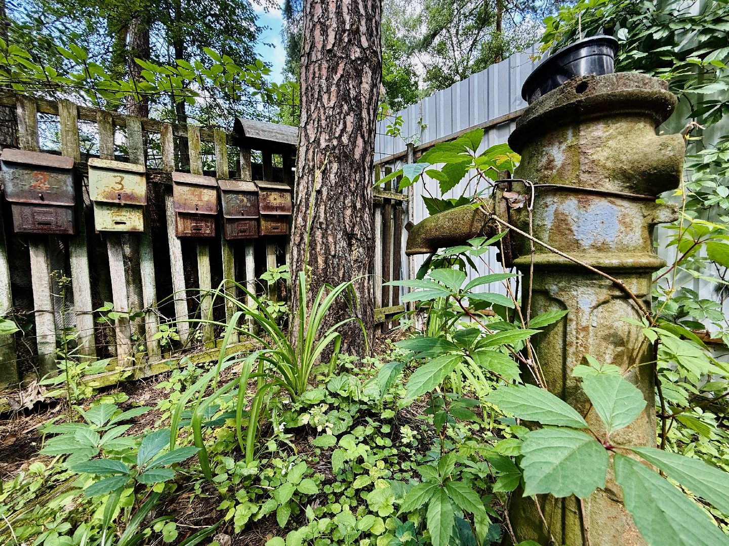 раменское, кратово, экскурсия, стародачное кратово, новая экскурсия, велосипедная экскурсия,