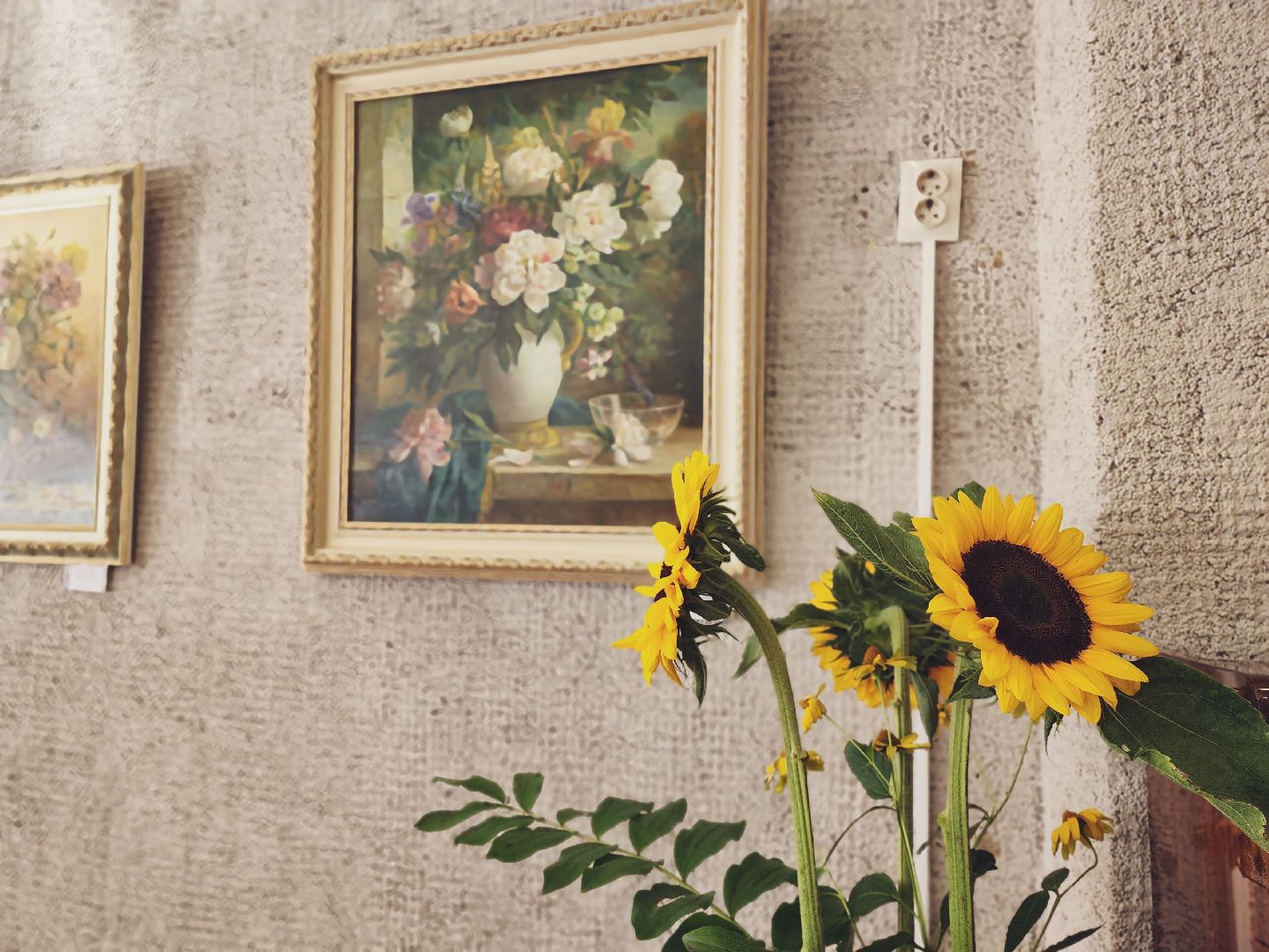 пущино, серпухов, культура, лето в подмосковье, выставка,