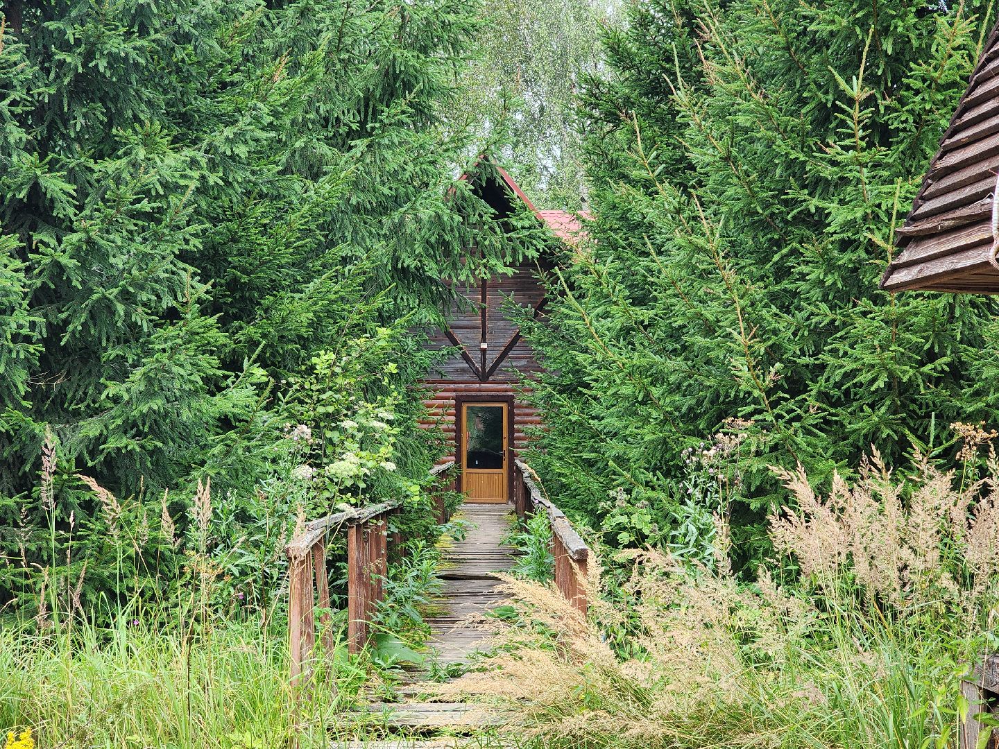 сергиево-посадский городской округ, васильевское, ярыгино, резиденция керамики, посадская усадьба, школа керамики, михаил бывших, гончарная мастерская, гончарное дело, фарфор попова,