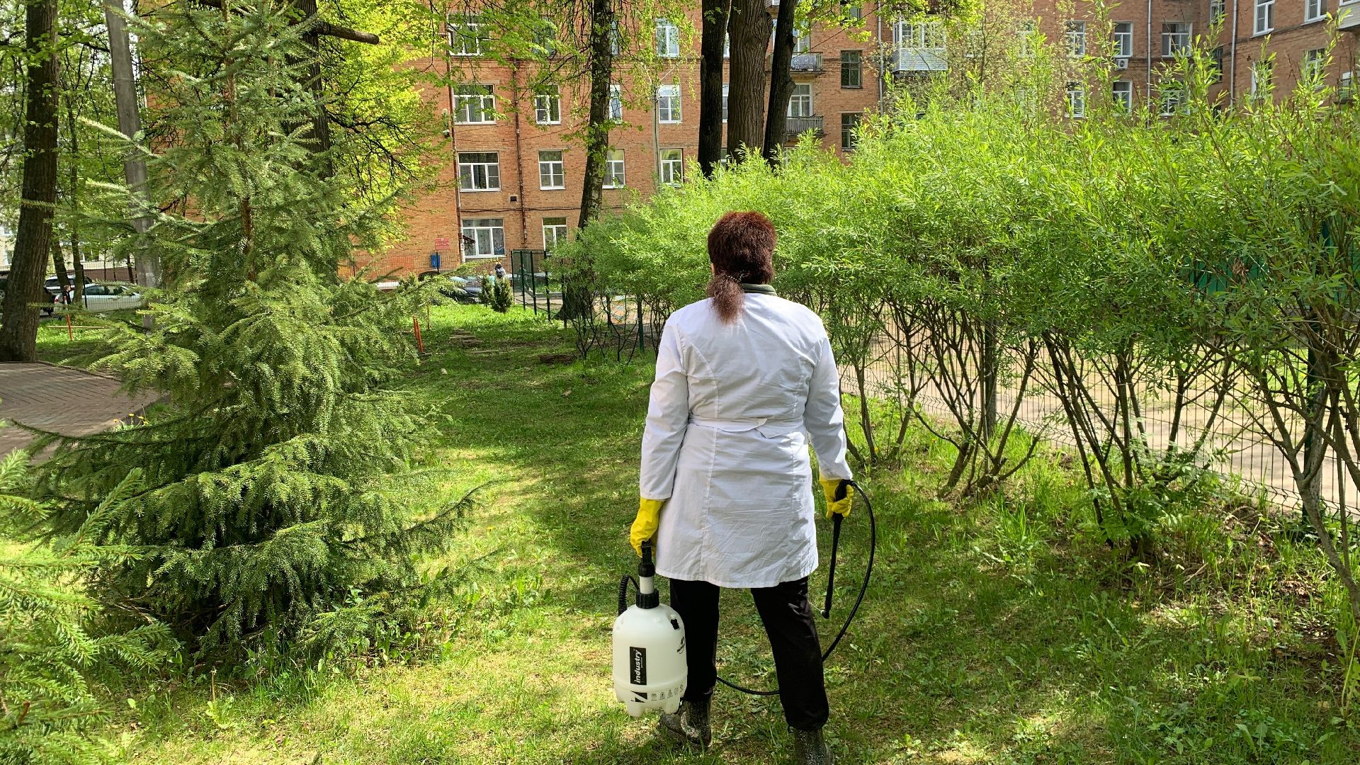 Ступино, клещи, санобработка