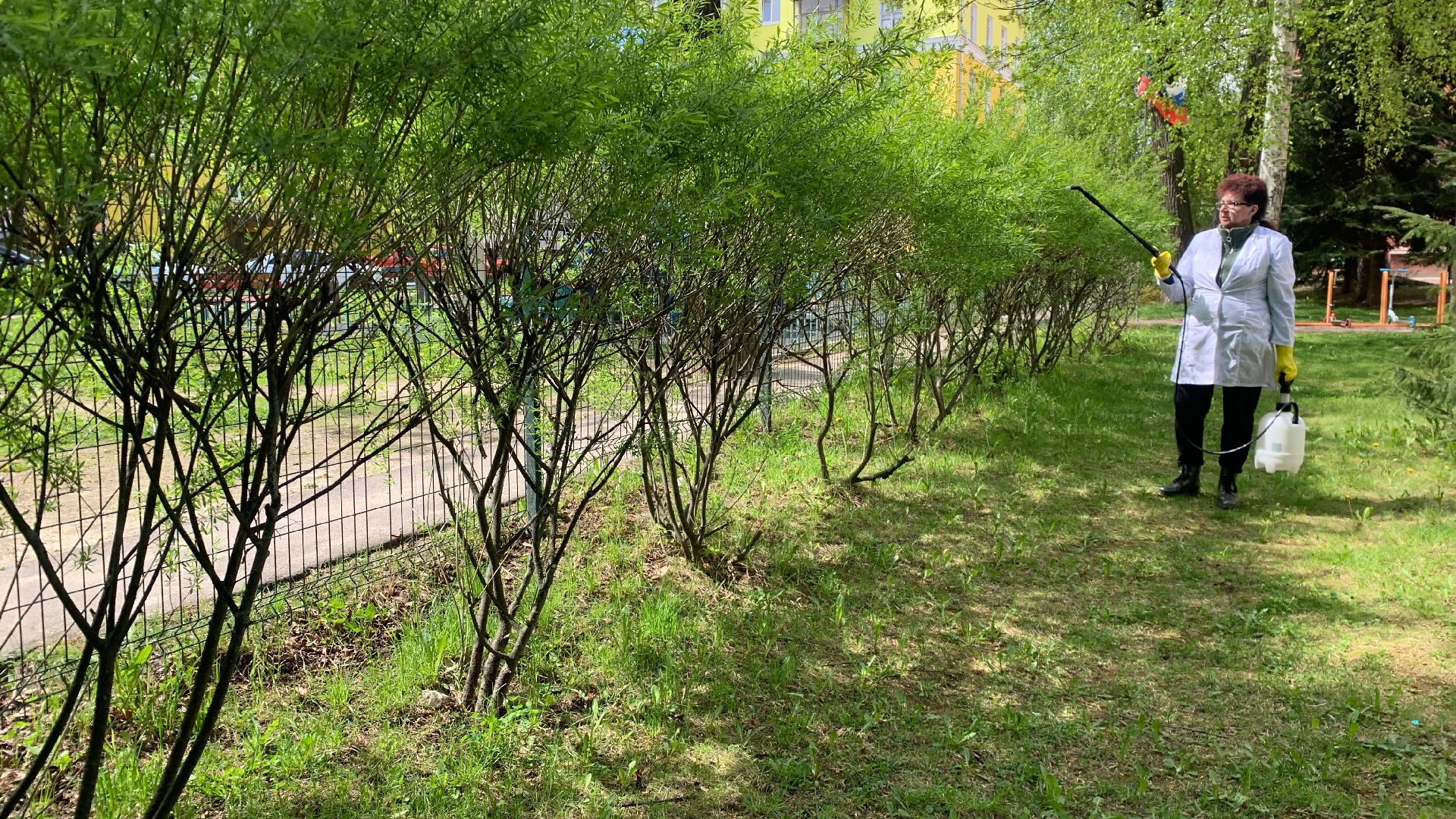 Ступино, клещи, санобработка