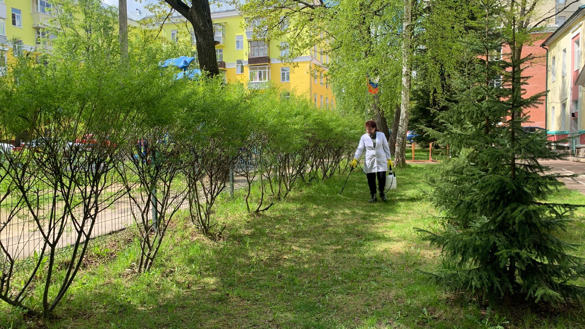 Ступино, клещи, санобработка