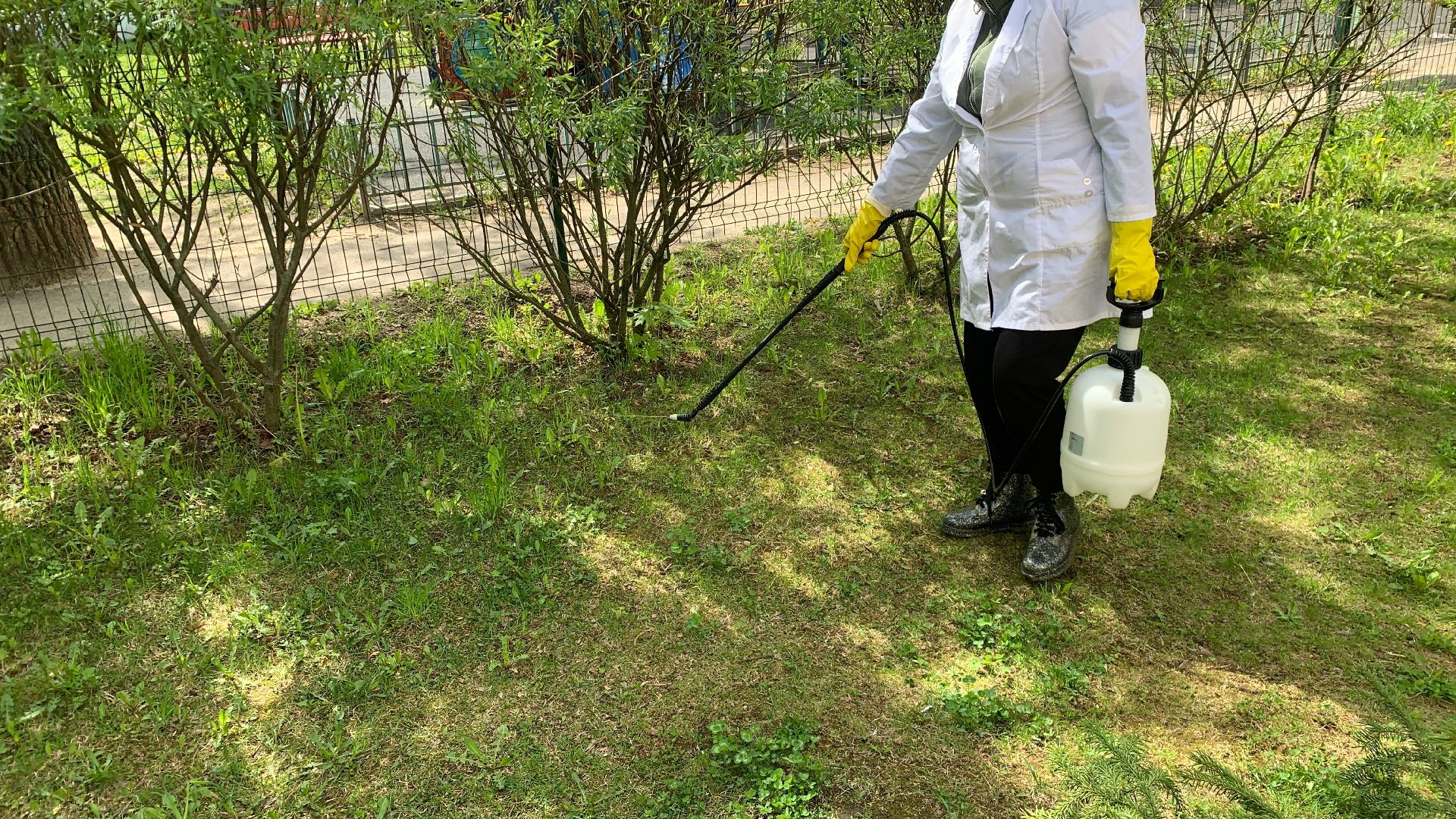 Ступино, клещи, санобработка