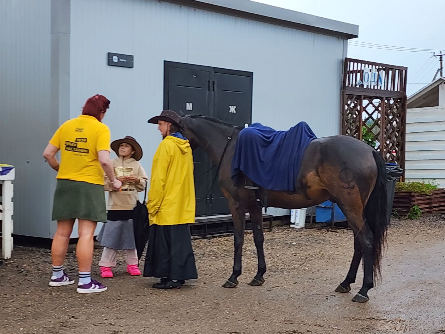 Истра, Сыр, Сырный фестиваль, Сельское хозяйство ,