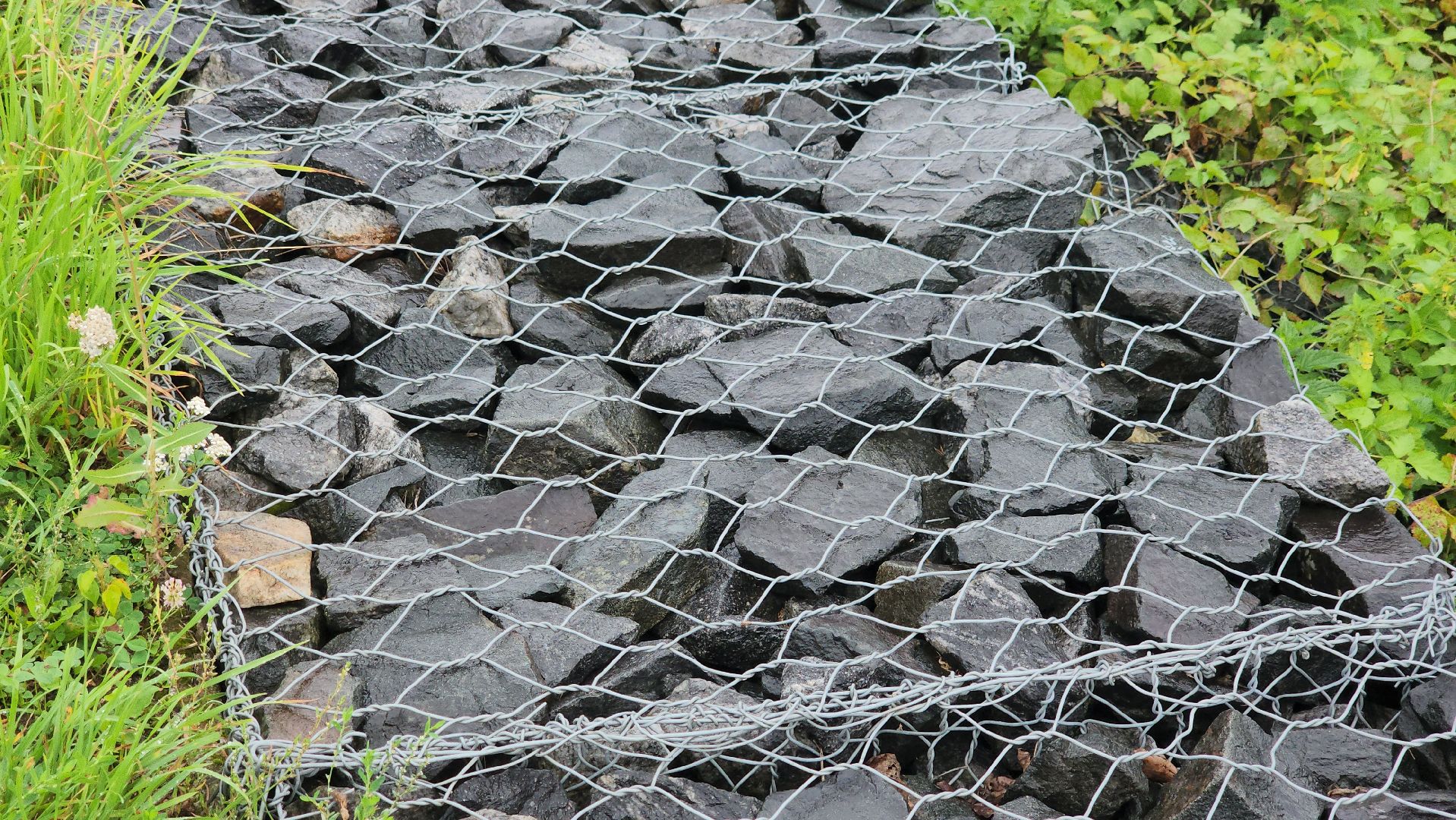 щёлково,  благоустройство, голосование жителей,