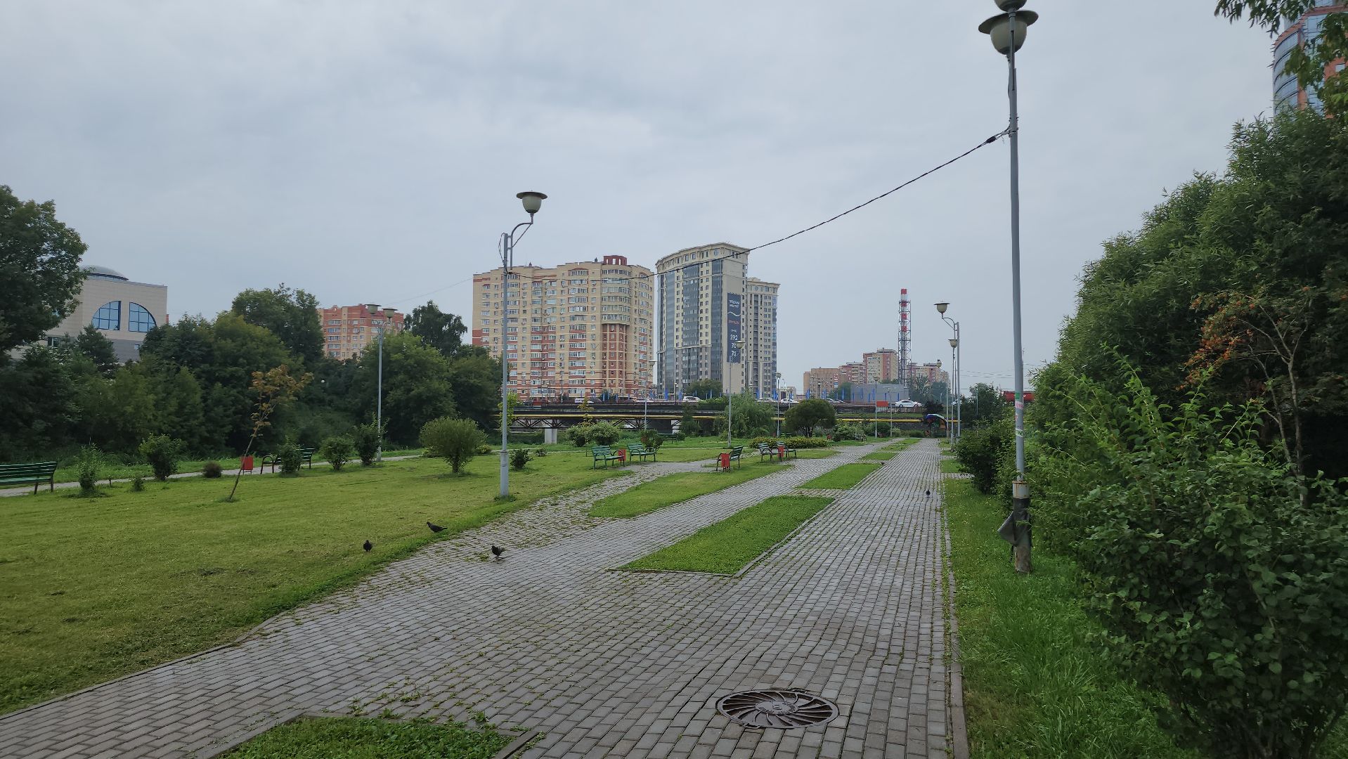 щёлково,  благоустройство, голосование жителей,