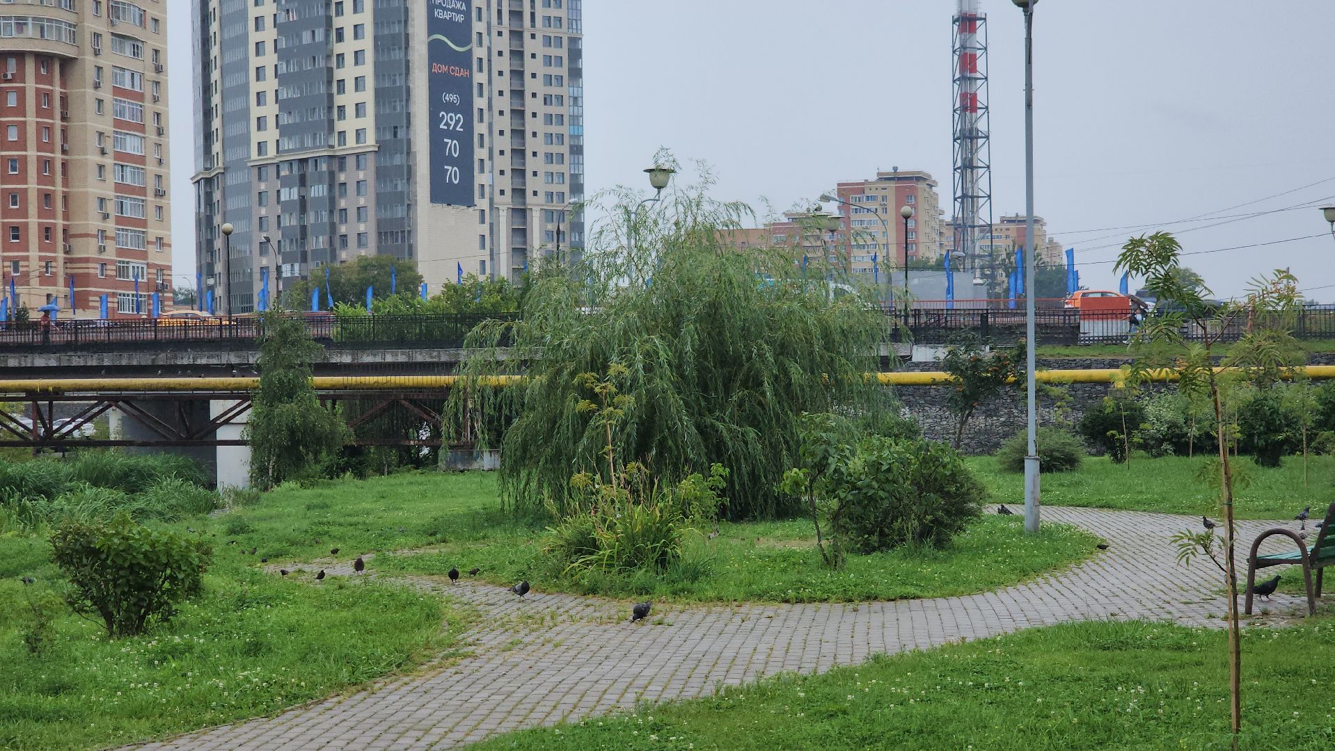 щёлково,  благоустройство, голосование жителей,