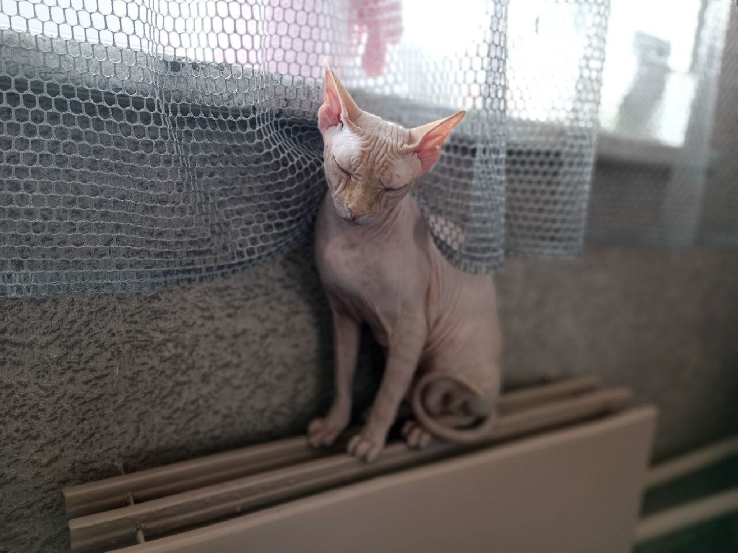 Можайск, Можайский городской округ, Подмосковье, отопительный сезон, тепло, ЖКХ, жители, просьбы жителей