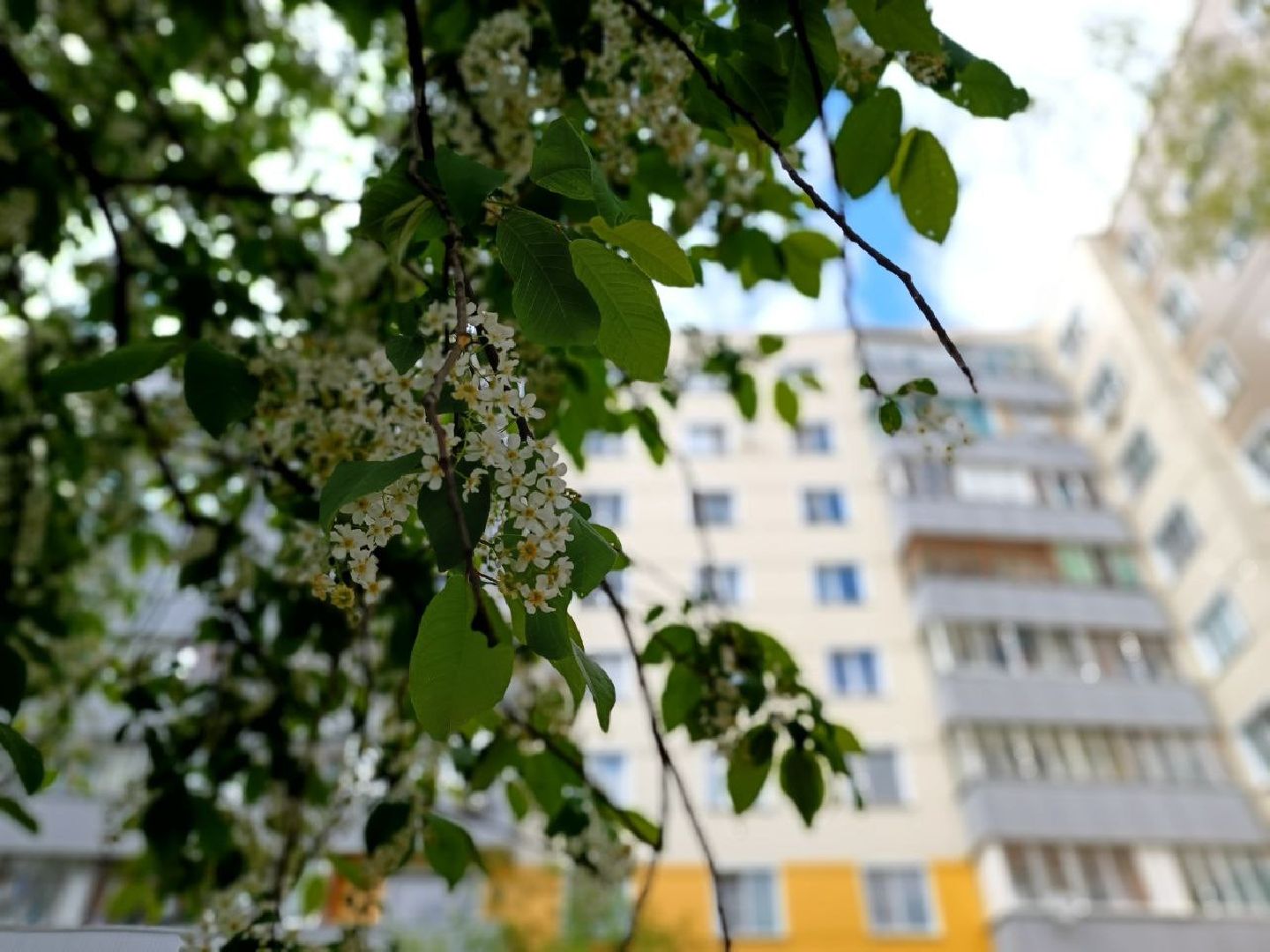 Можайск, Можайский городской округ, Подмосковье, отопительный сезон, тепло, ЖКХ, жители, просьбы жителей