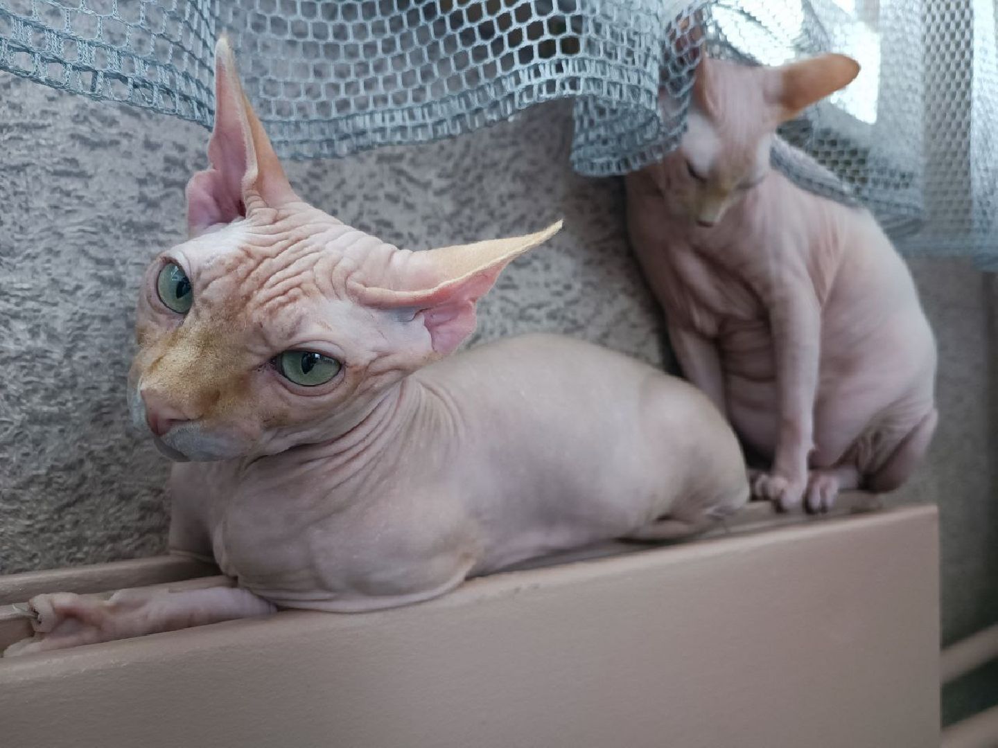 Можайск, Можайский городской округ, Подмосковье, отопительный сезон, тепло, ЖКХ, жители, просьбы жителей