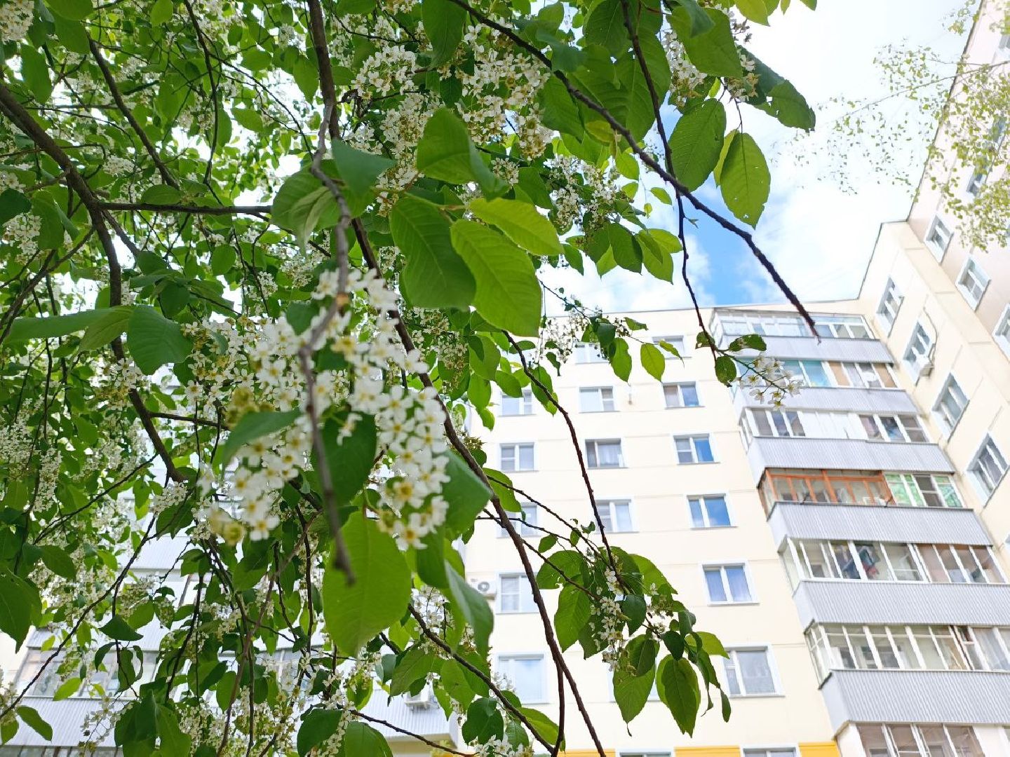 Можайск, Можайский городской округ, Подмосковье, отопительный сезон, тепло, ЖКХ, жители, просьбы жителей