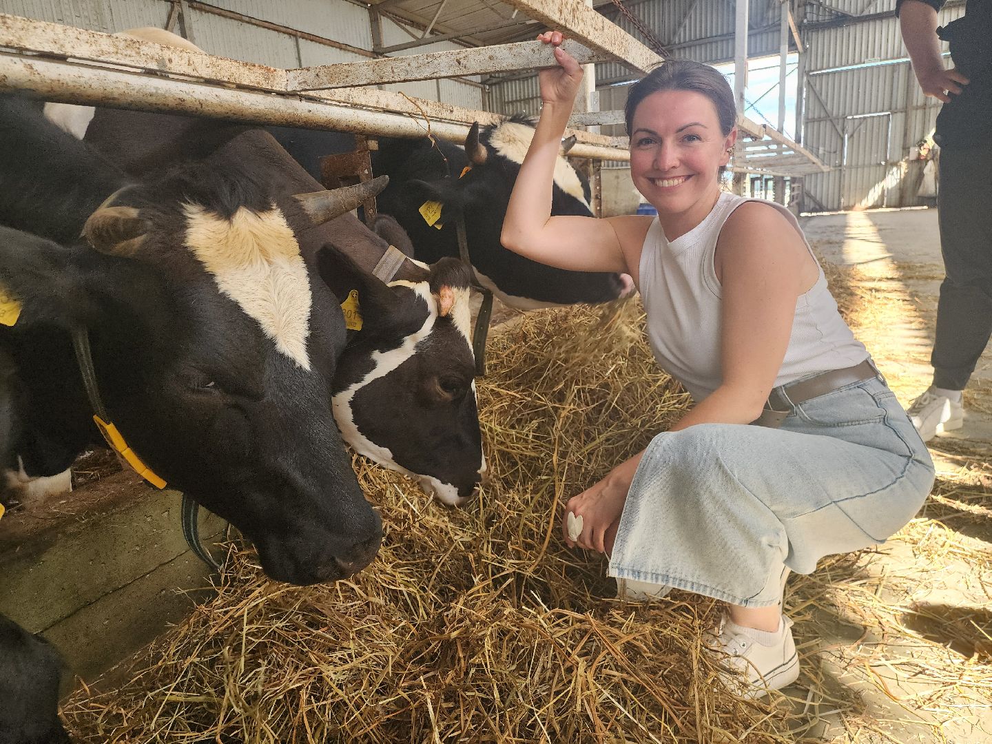 Истра, Фестиваль сыра, Ферма,