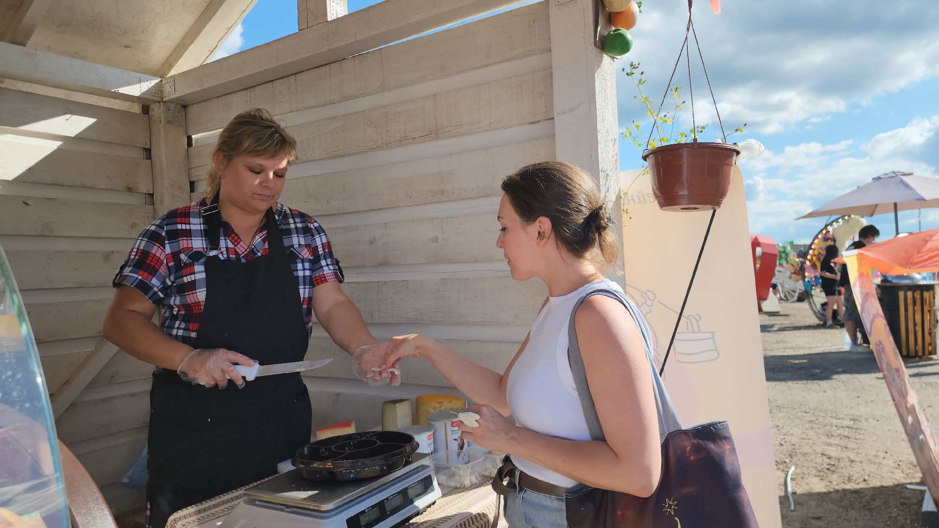 Истра, Фестиваль сыра, Ферма,