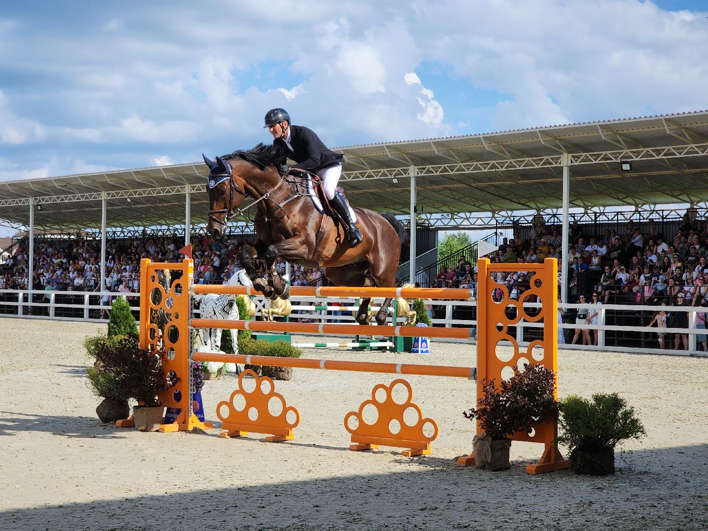 Черноголовка, Хорсека, Конкур,