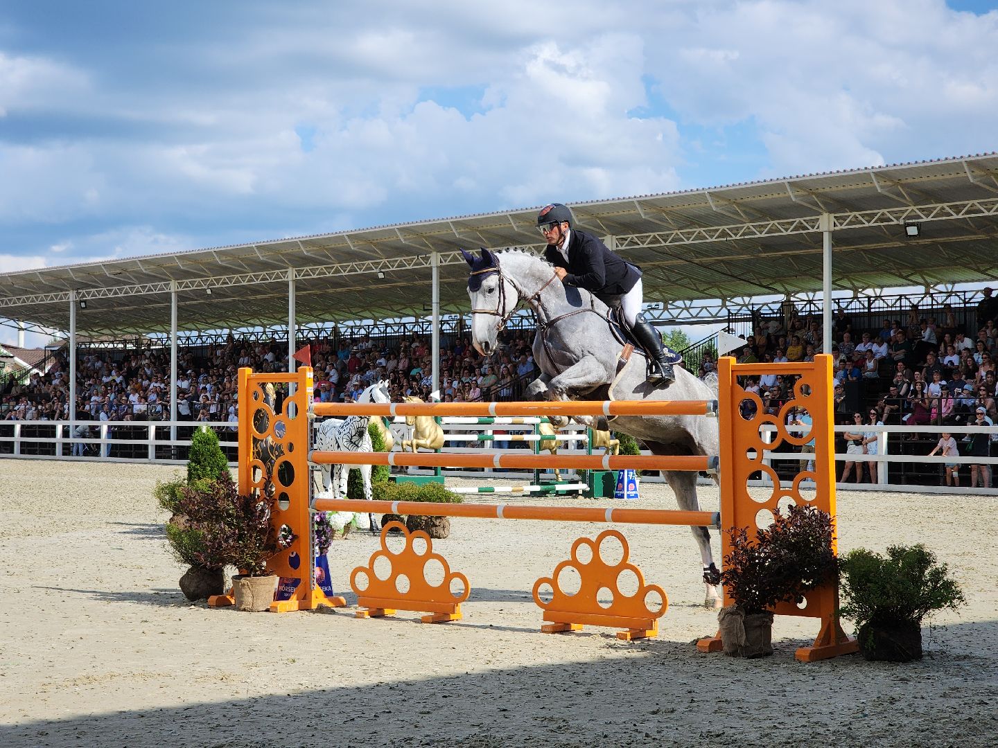 Черноголовка, Хорсека, Конкур,