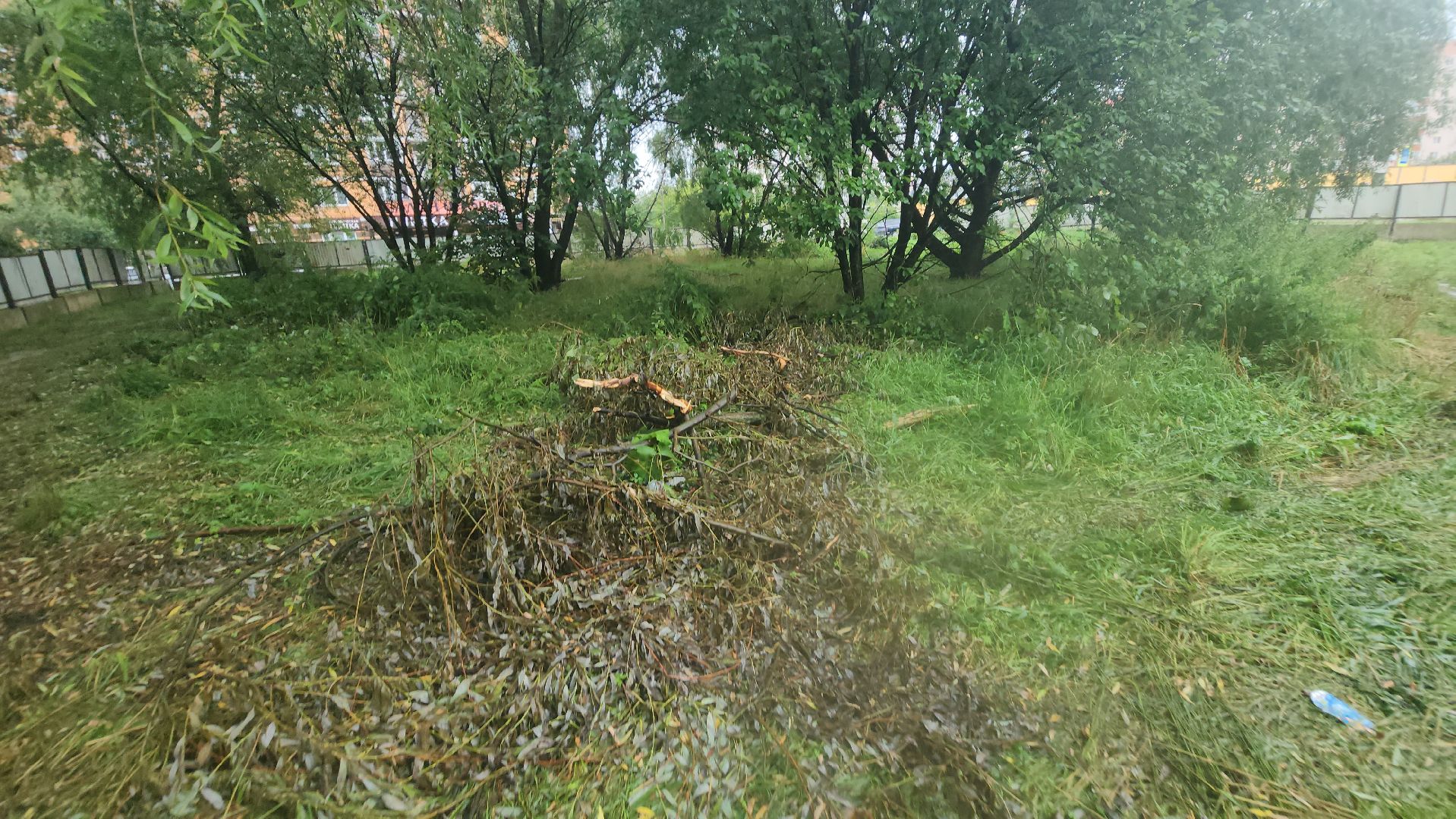 долгопрудный,лихачевское шоссе, вырубка деревьев, ветеринарная клиника, администрация долгопрудного, встреча с жителями,