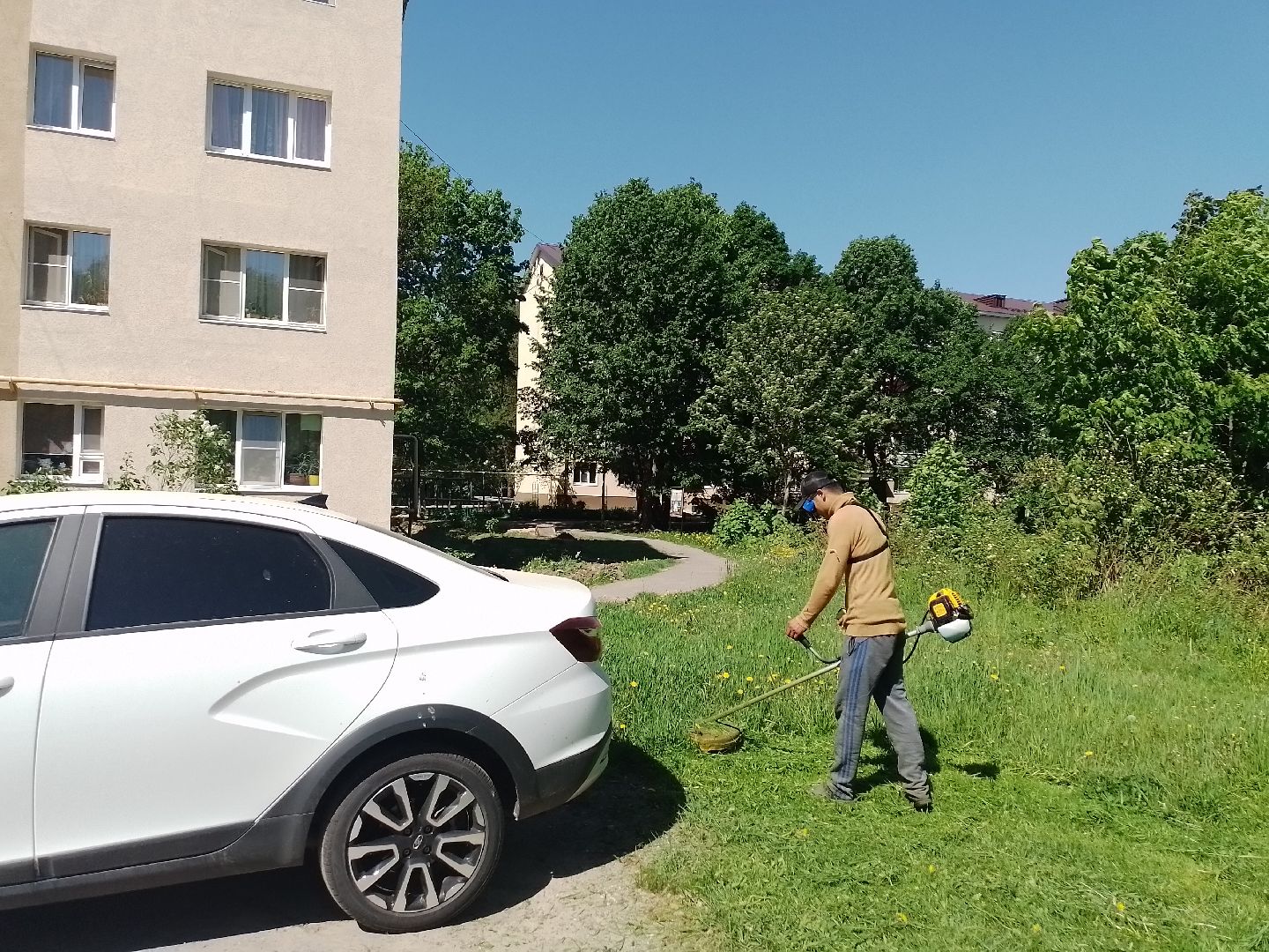 городской округ восход, благоустройство, покос травы, газон,