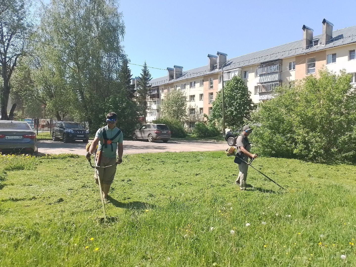 городской округ восход, благоустройство, покос травы, газон,