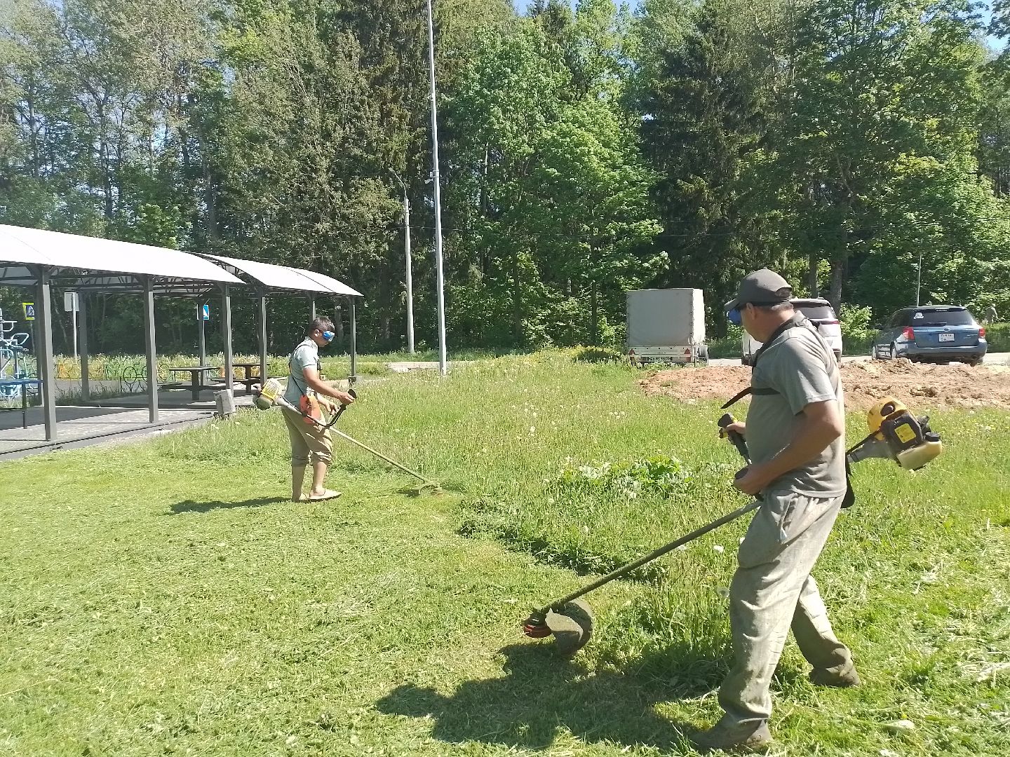 городской округ восход, благоустройство, покос травы, газон,