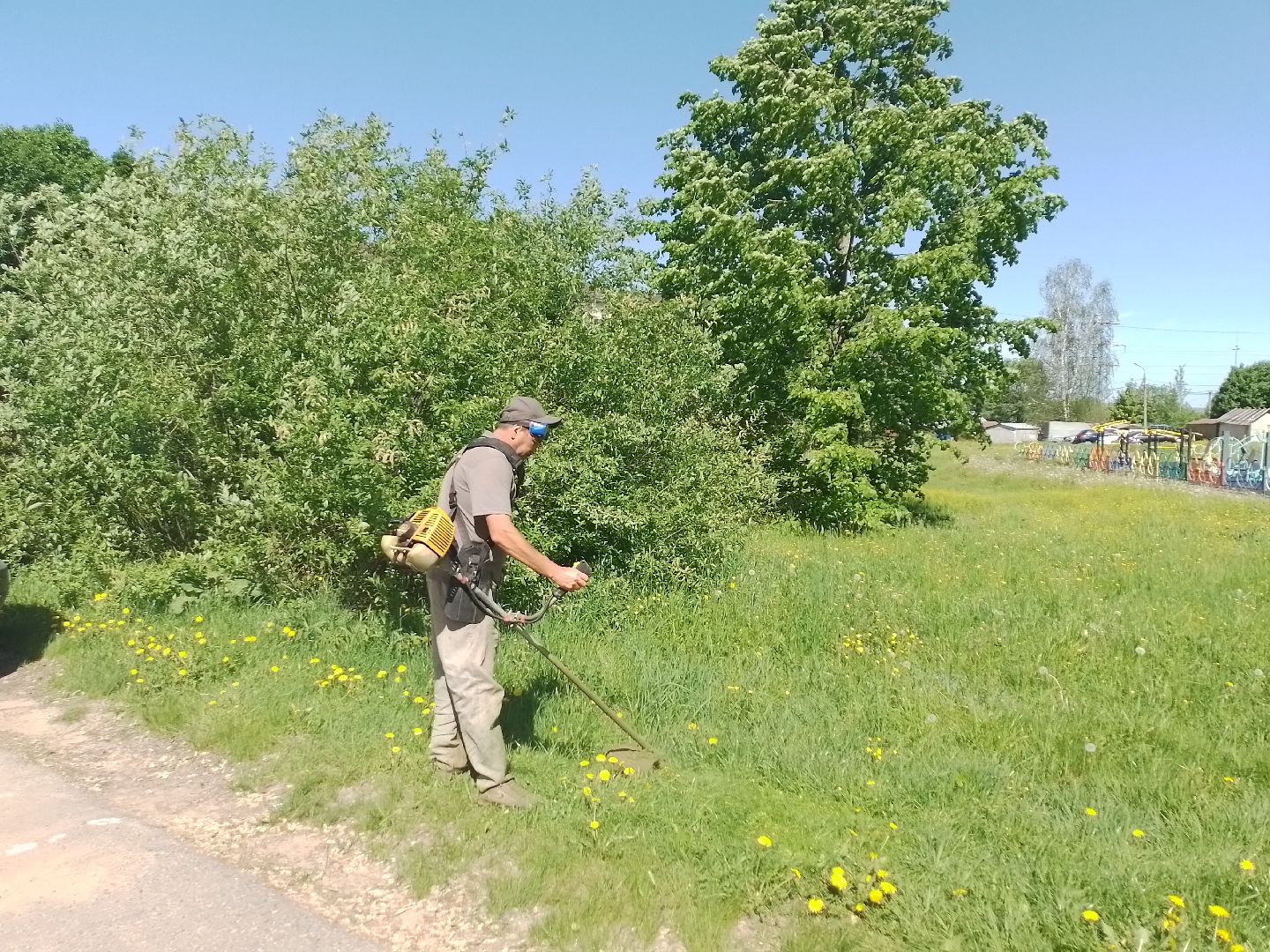 городской округ восход, благоустройство, покос травы, газон,