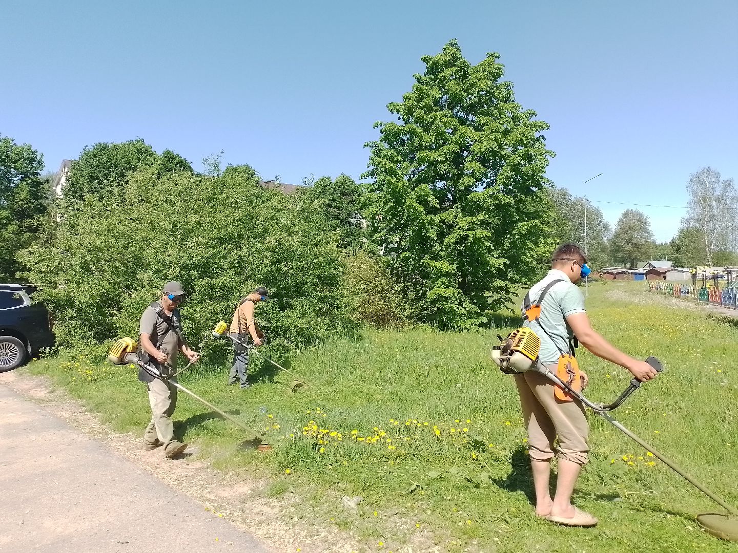 городской округ восход, благоустройство, покос травы, газон,