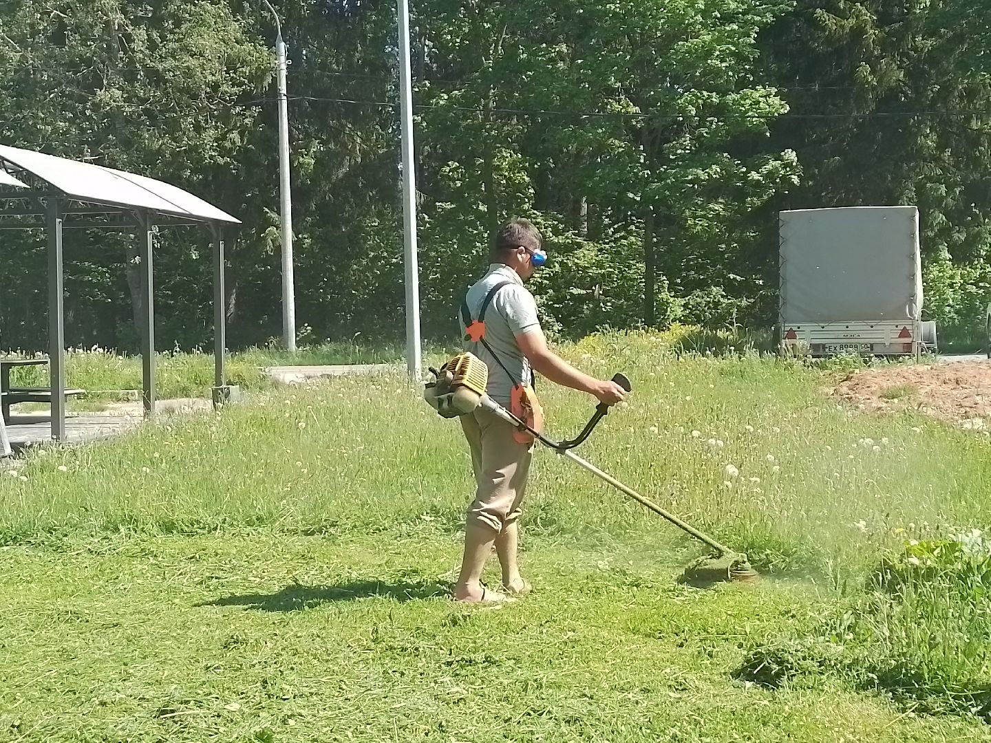 городской округ восход, благоустройство, покос травы, газон,
