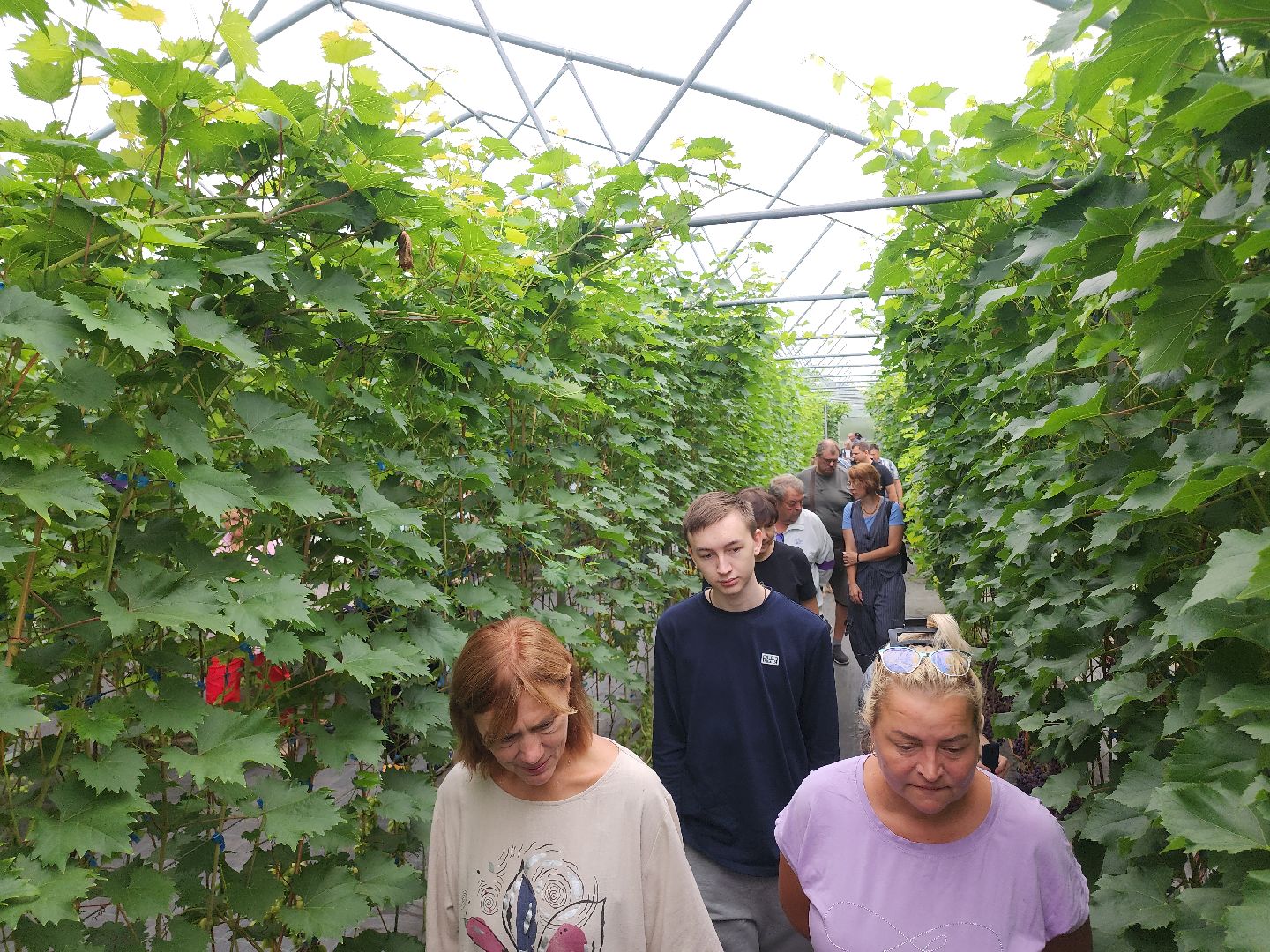 Егорьевск , Подмосковье , Московская область ,