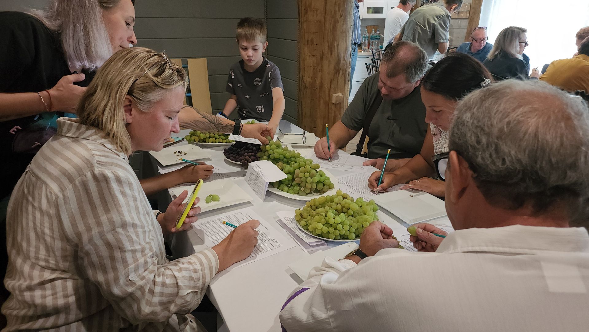 Егорьевск , Подмосковье , Московская область ,