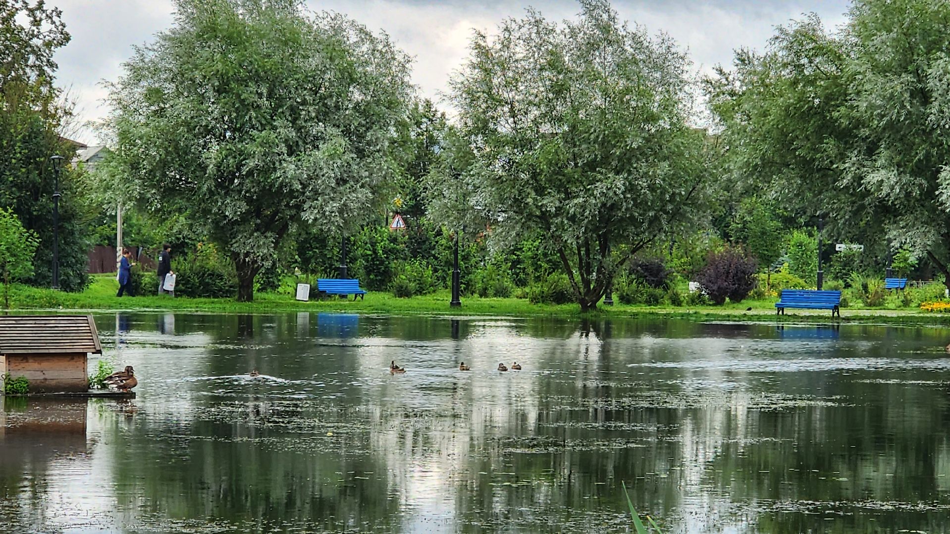 истра, ликвидация подтоплений, благоустройство,