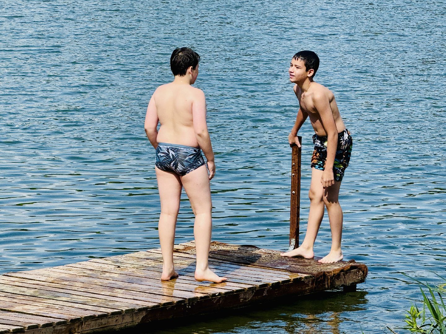 раменское, место для купания, отдых у воды, пляж, пробы воды, озеро гидра, озеро солнечное,