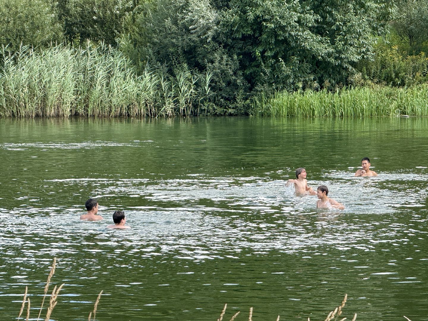 раменское, место для купания, отдых у воды, пляж, пробы воды, озеро гидра, озеро солнечное,