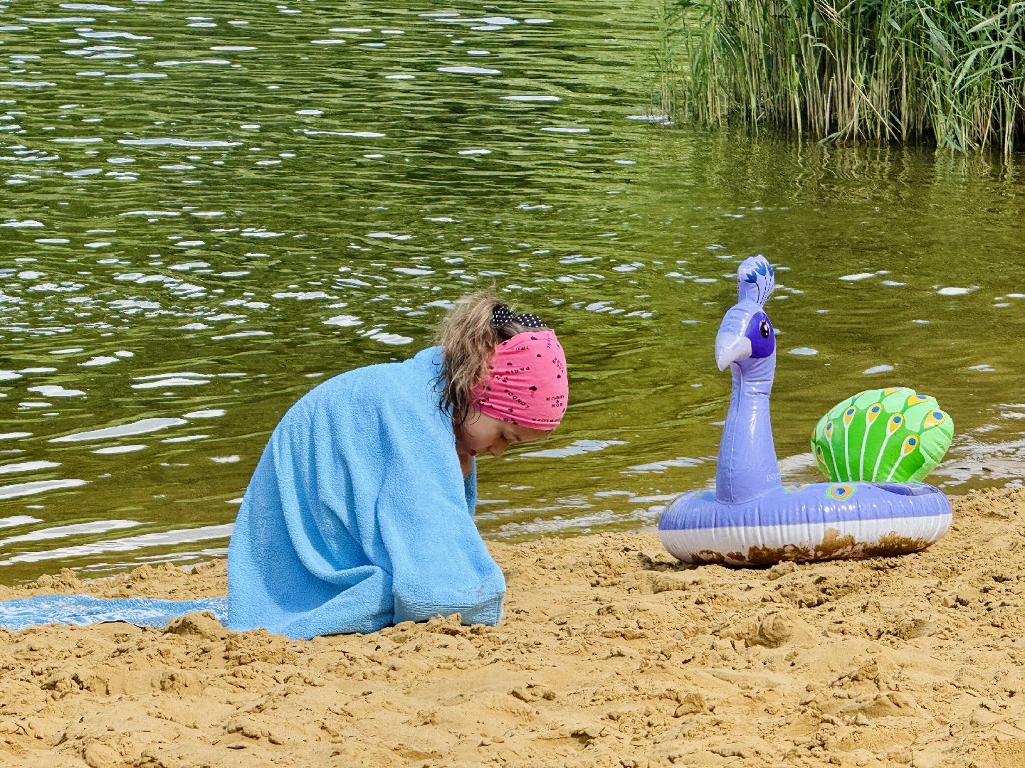 раменское, место для купания, отдых у воды, пляж, пробы воды, озеро гидра, озеро солнечное,