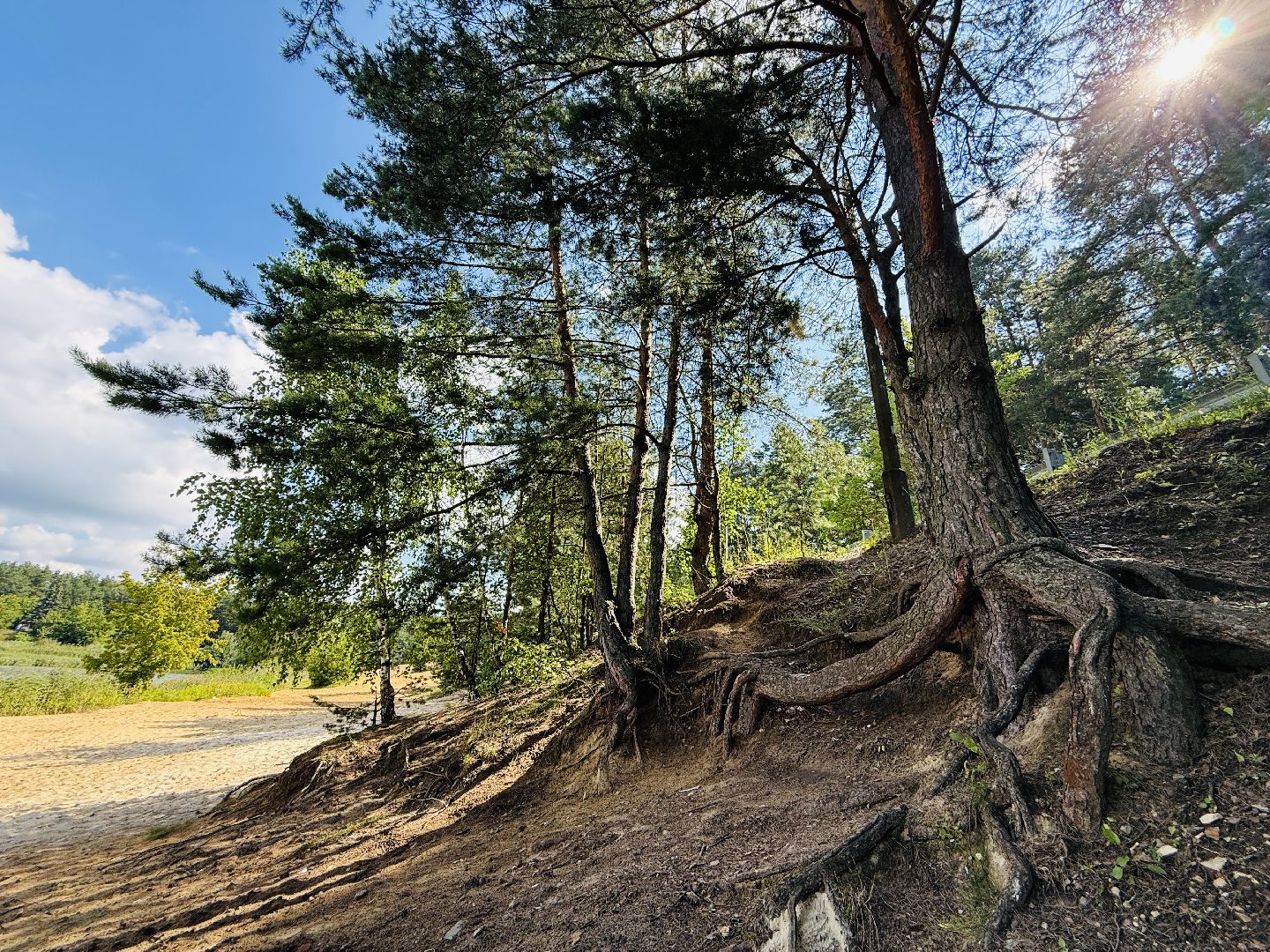 раменское, место для купания, отдых у воды, пляж, пробы воды, озеро гидра, озеро солнечное,