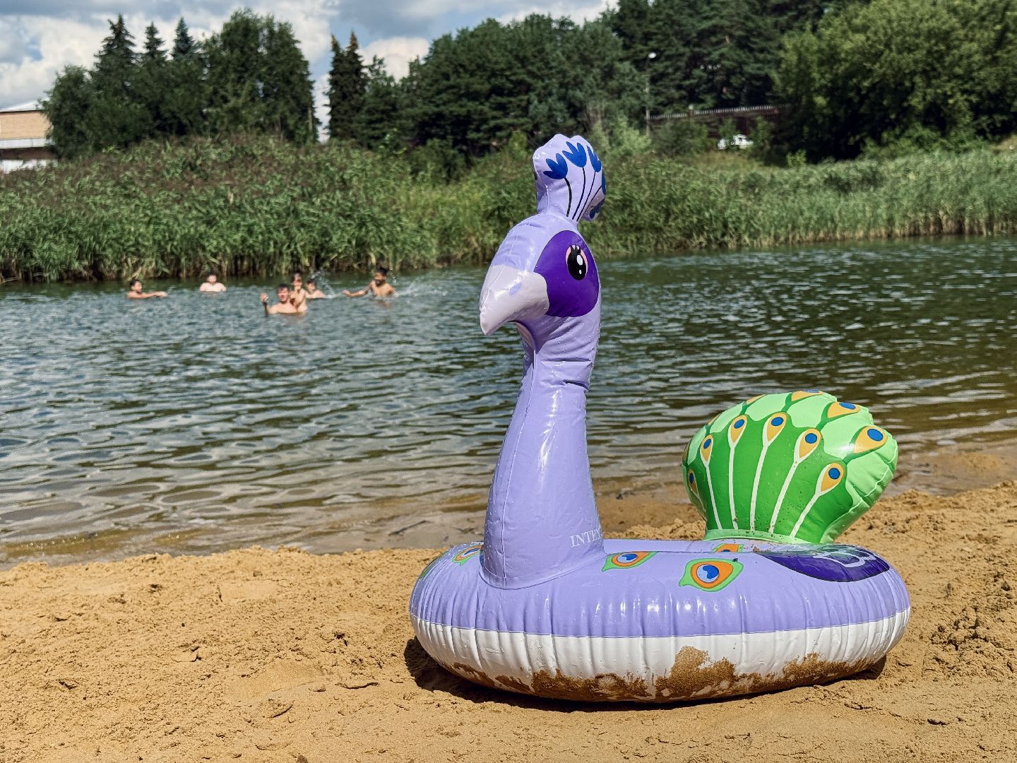 раменское, место для купания, отдых у воды, пляж, пробы воды, озеро гидра, озеро солнечное,