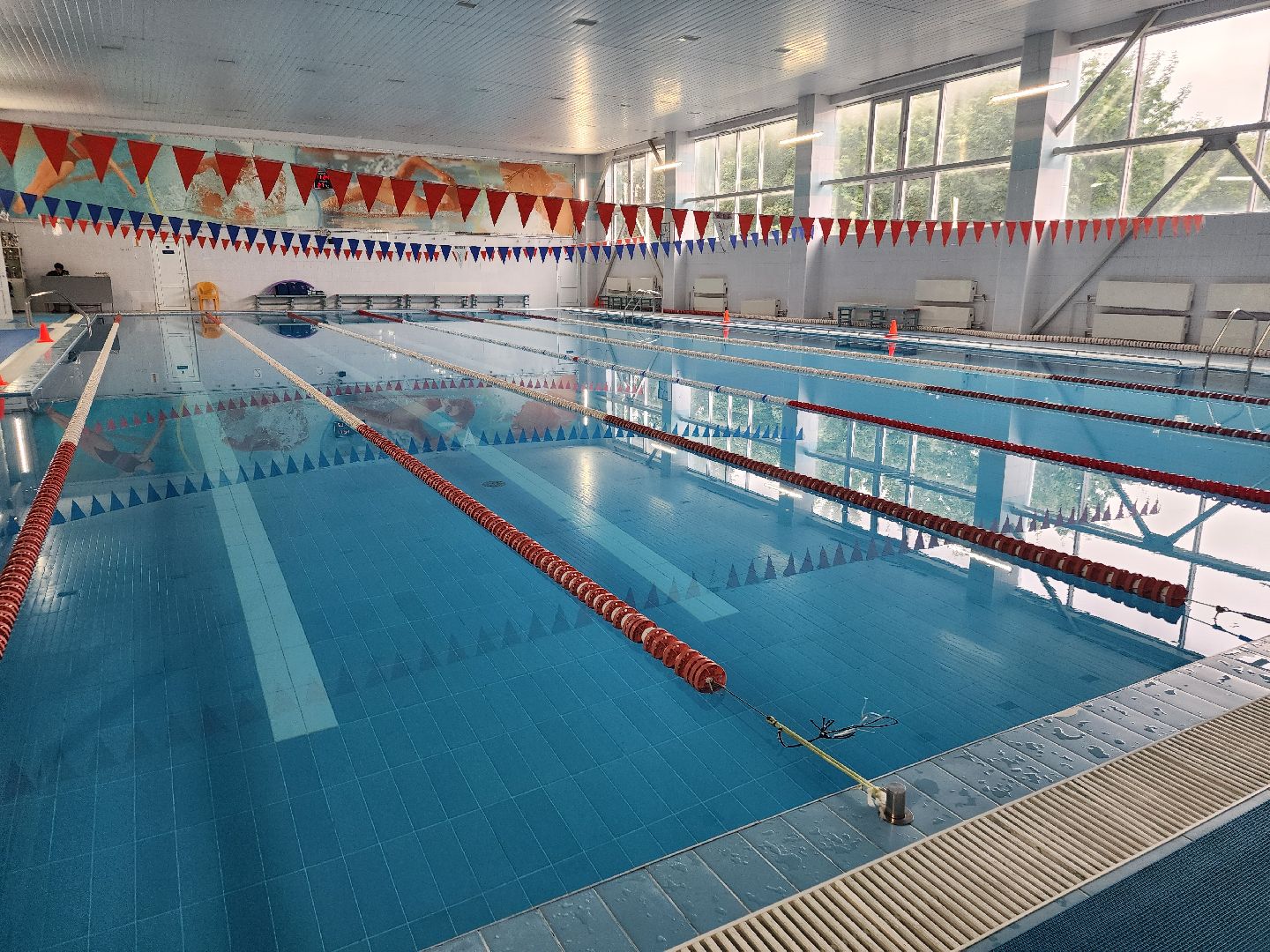 фрязино, бассейн, олимп, люди с овз, доступная среда,