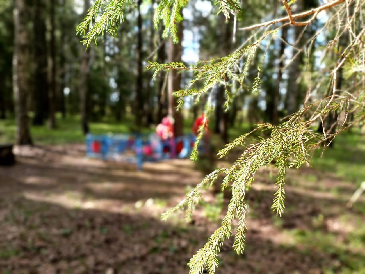Можайск, Можайский городской округ, Подмосковье, Лёня Засыпкин, День Победы, пионер, партизан, герой, партизанские отряды, школьник