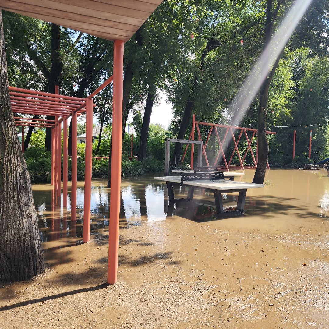 ЧП, Общество , Затопление , Звенигородские новости ,