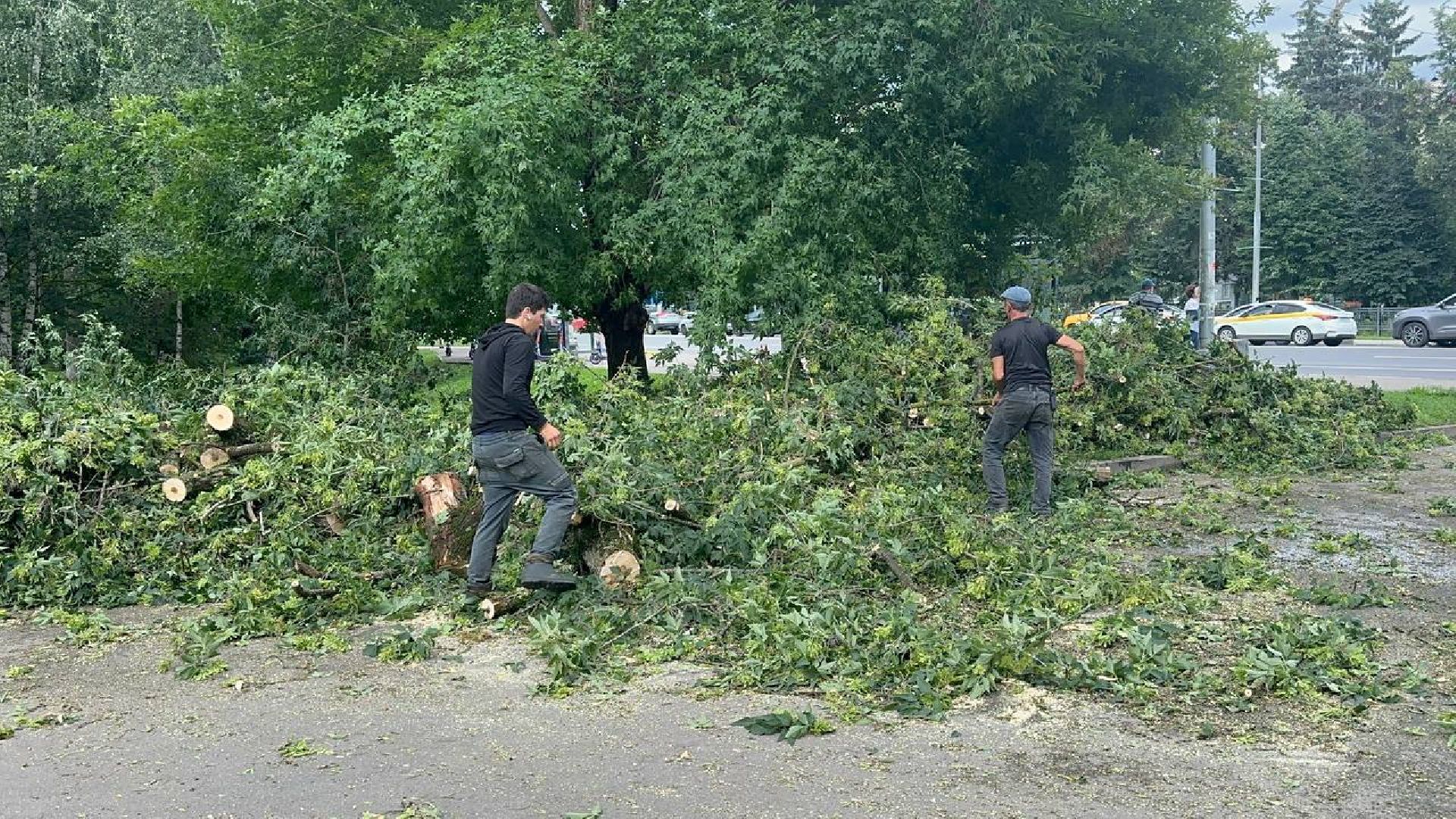 жкх и благоустройство, домодедово,