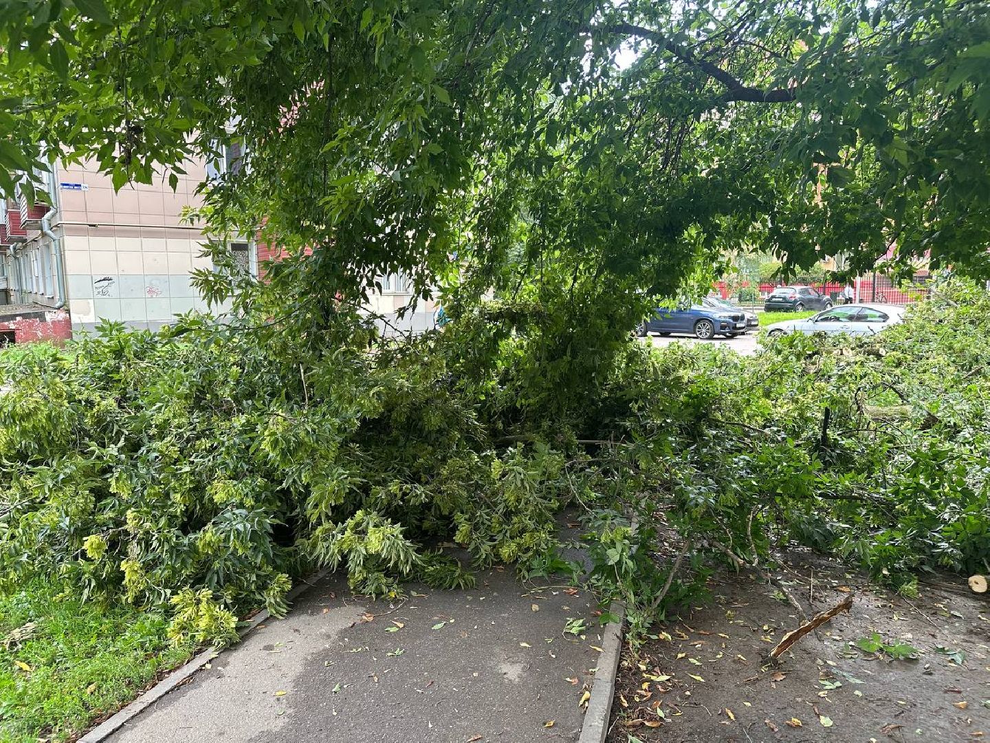 жкх и благоустройство, домодедово,
