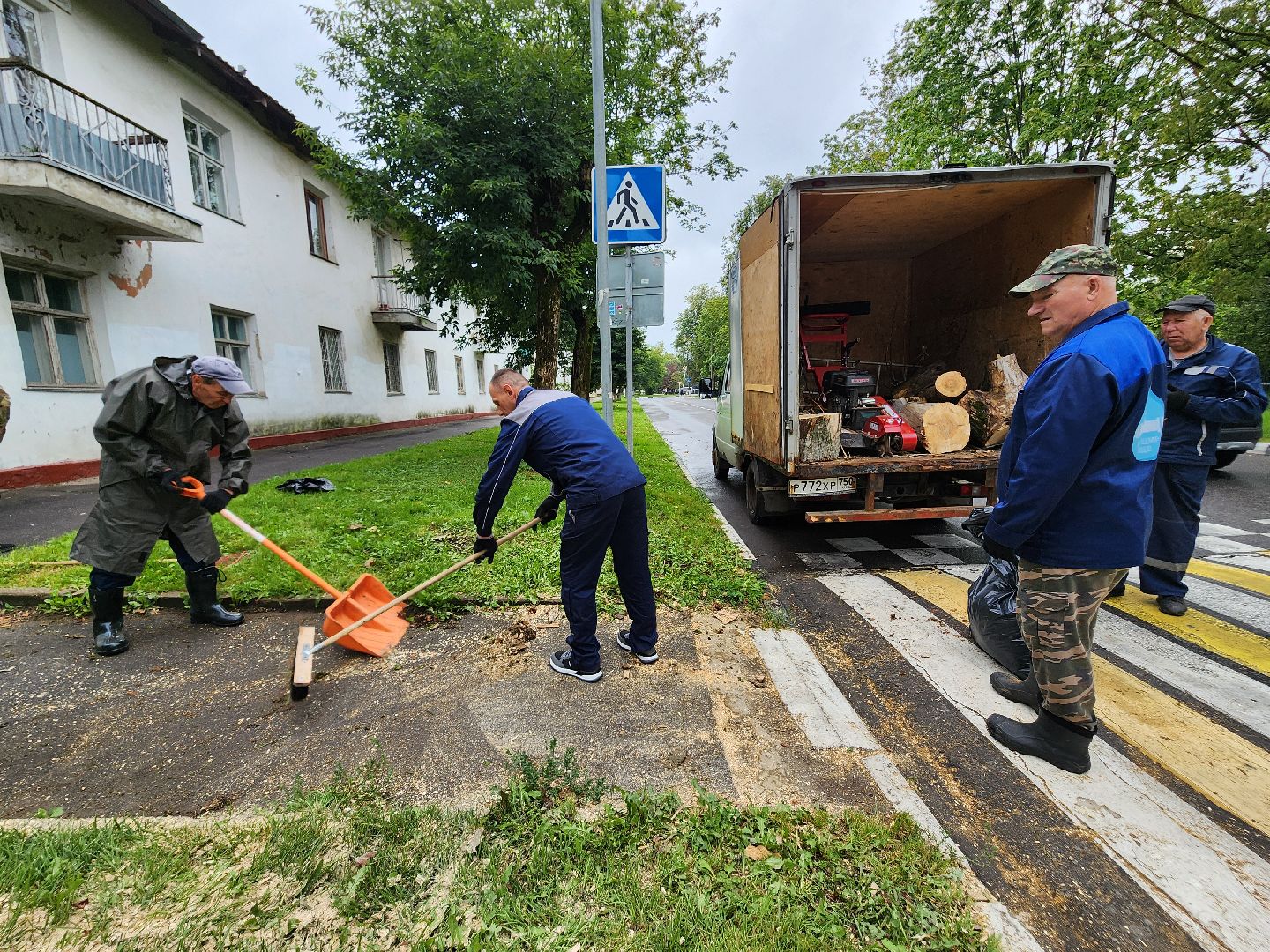 фрязино, удаление аварийных деревьев, сухостой,