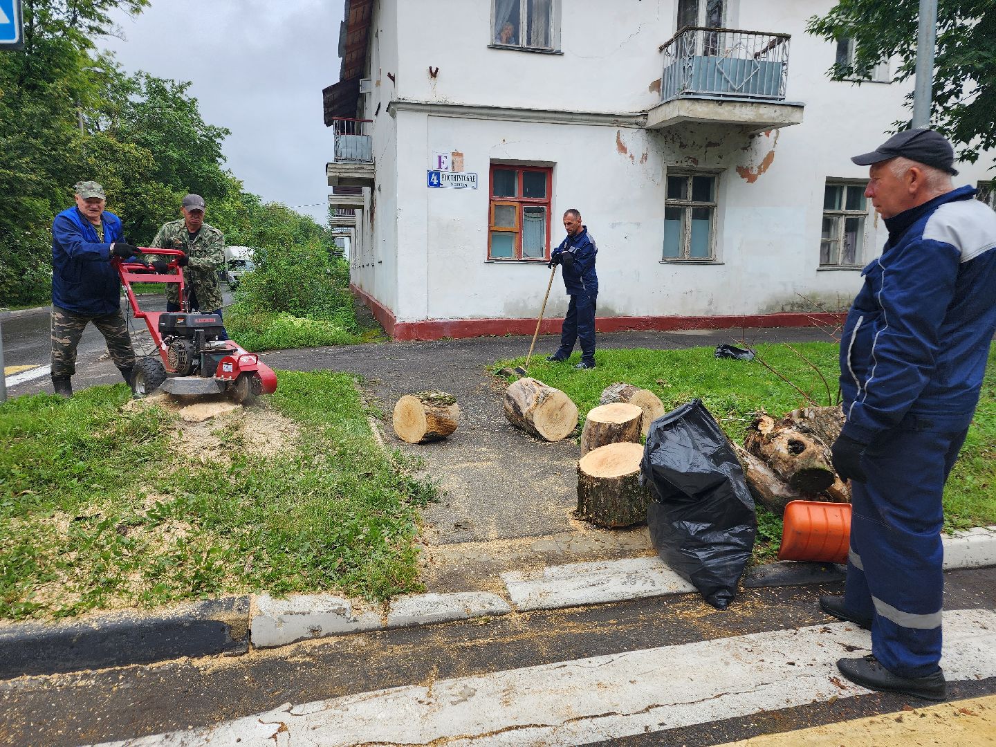 фрязино, удаление аварийных деревьев, сухостой,