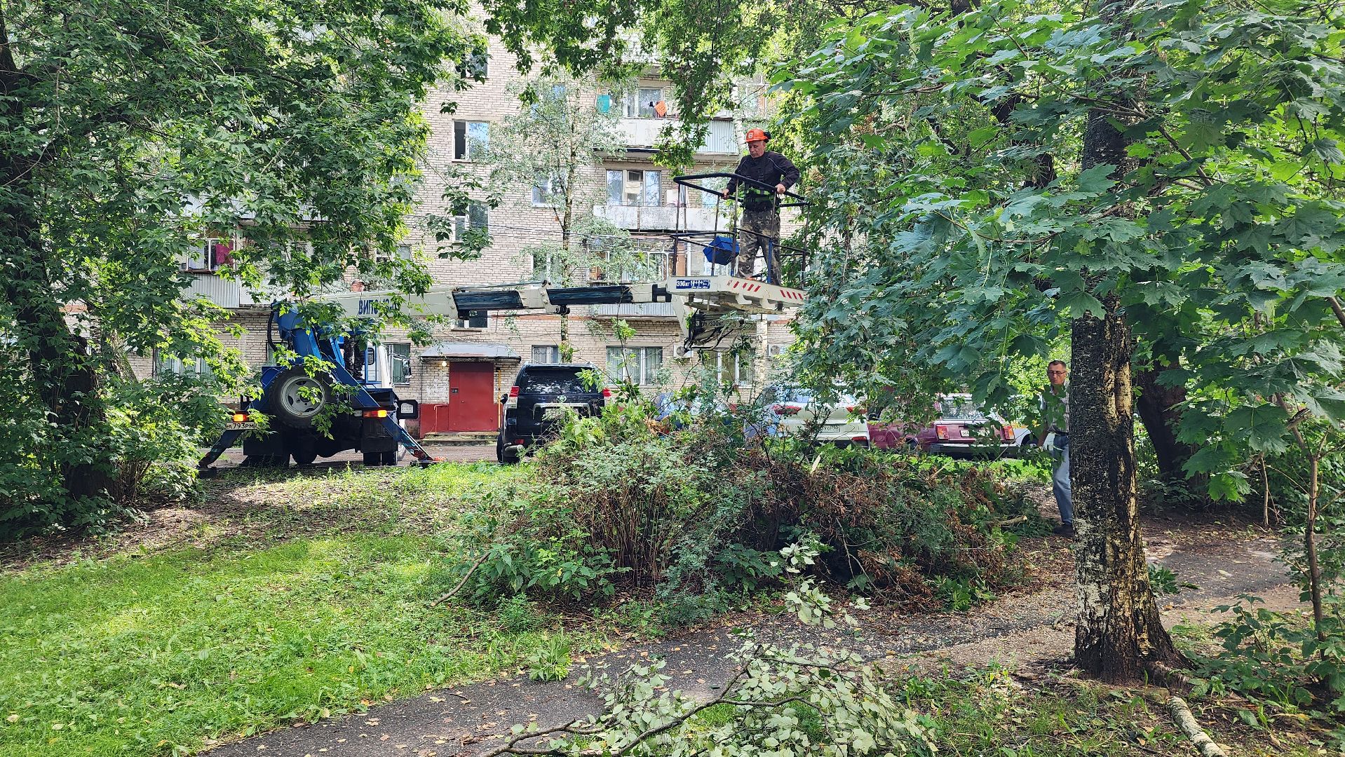 истра, благоустройство, обрезка веток,