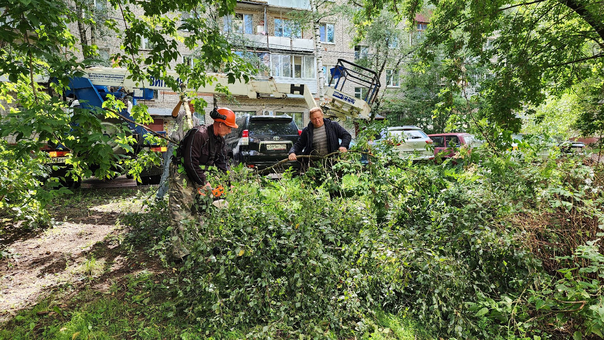истра, благоустройство, обрезка веток,