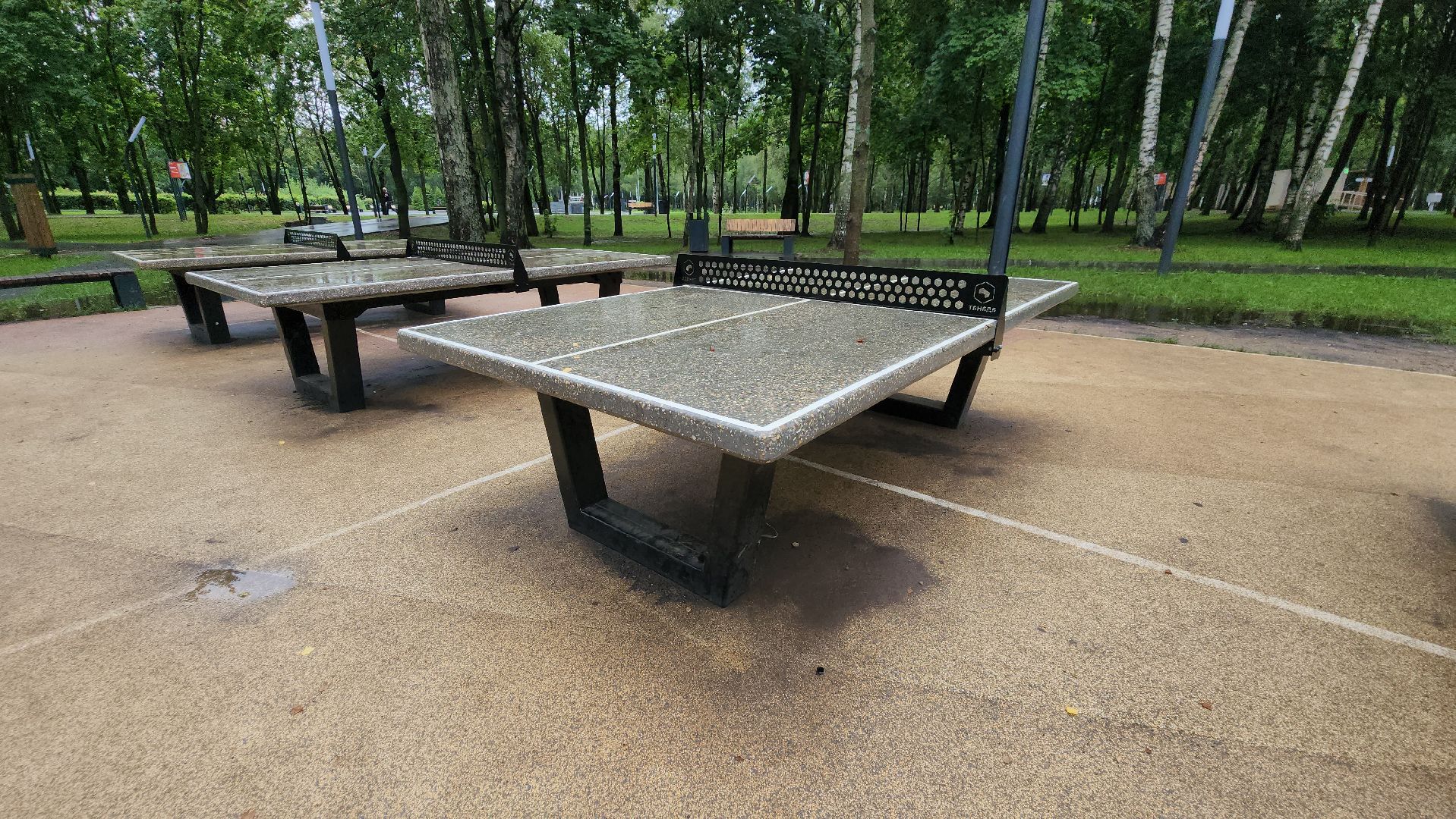 день физкультурника, Лобня, Спорт,