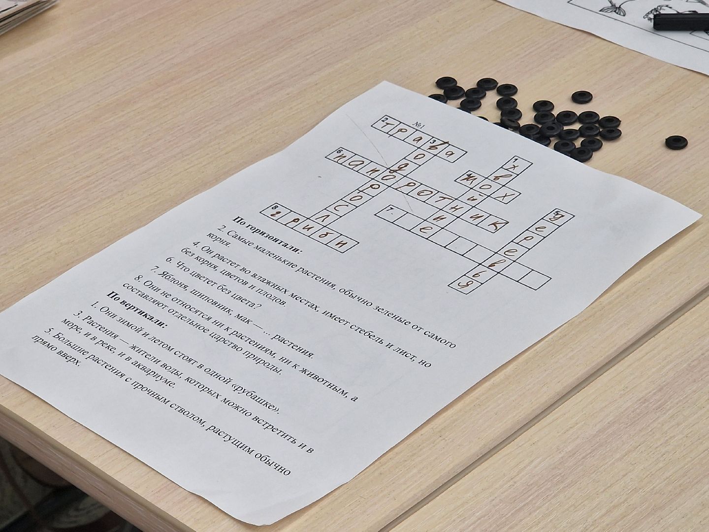 фестиваль непреклонный возраст балашиха,