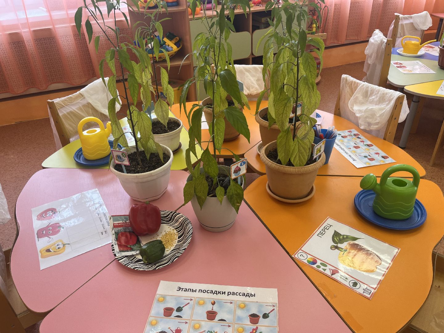 Шатура, шатура 2025, шатура образование, новости шатуры, шатура новости,