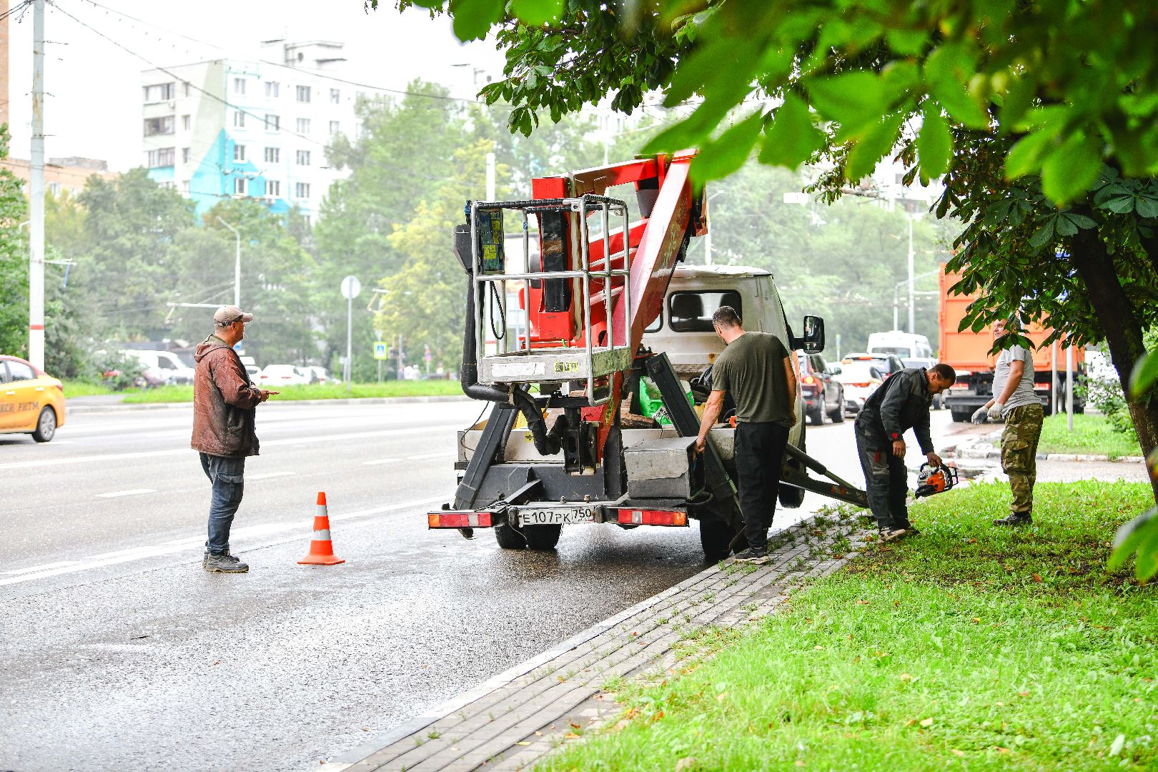 опиловка, деревья, кусты, безопасность,