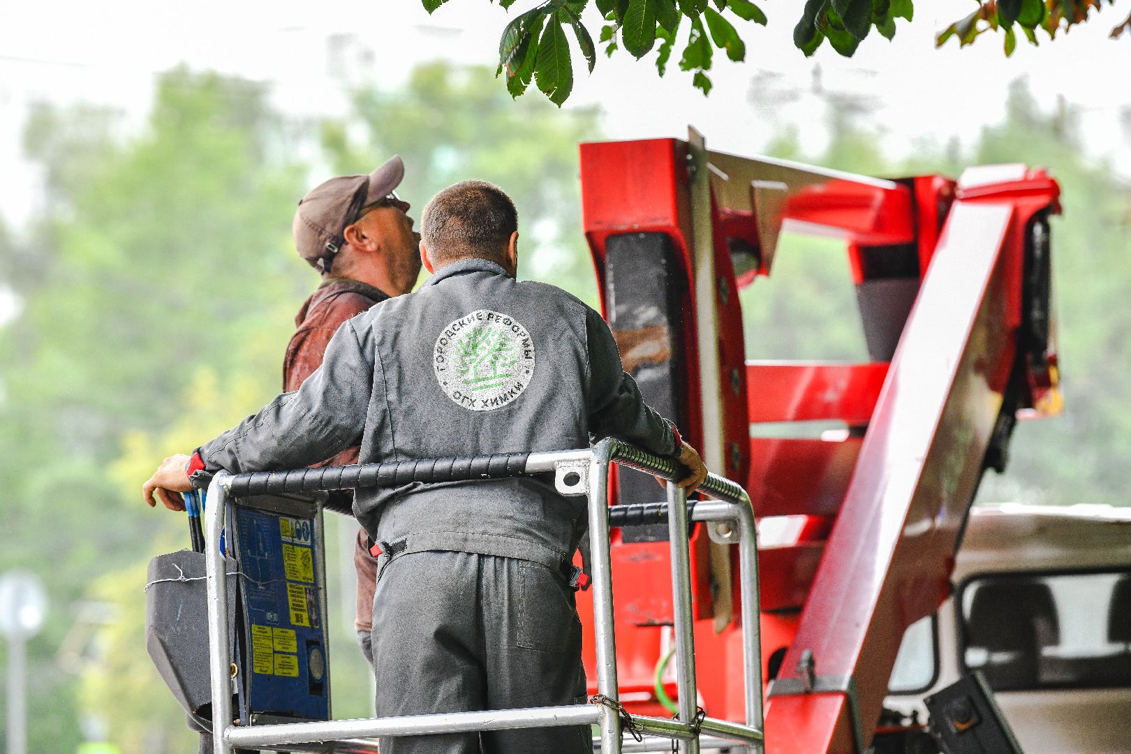 опиловка, деревья, кусты, безопасность,