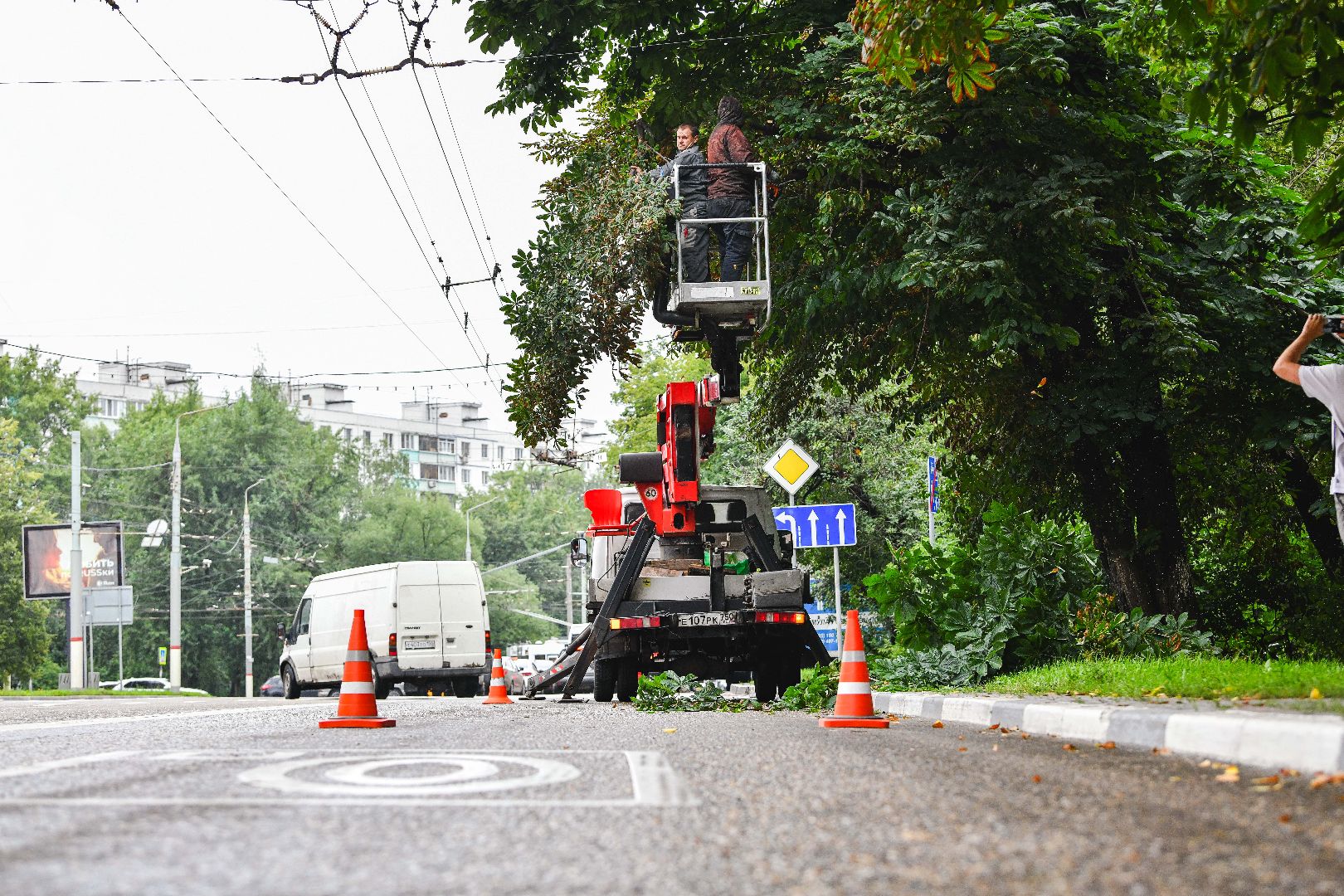 опиловка, деревья, кусты, безопасность,